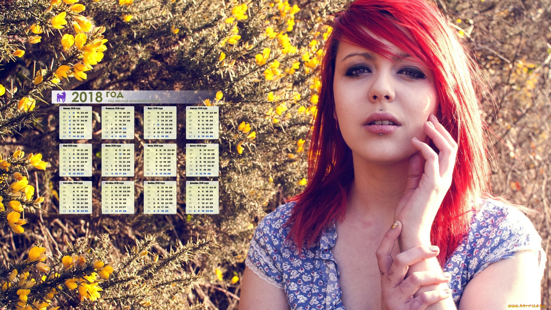 календари, девушки, лицо, взгляд