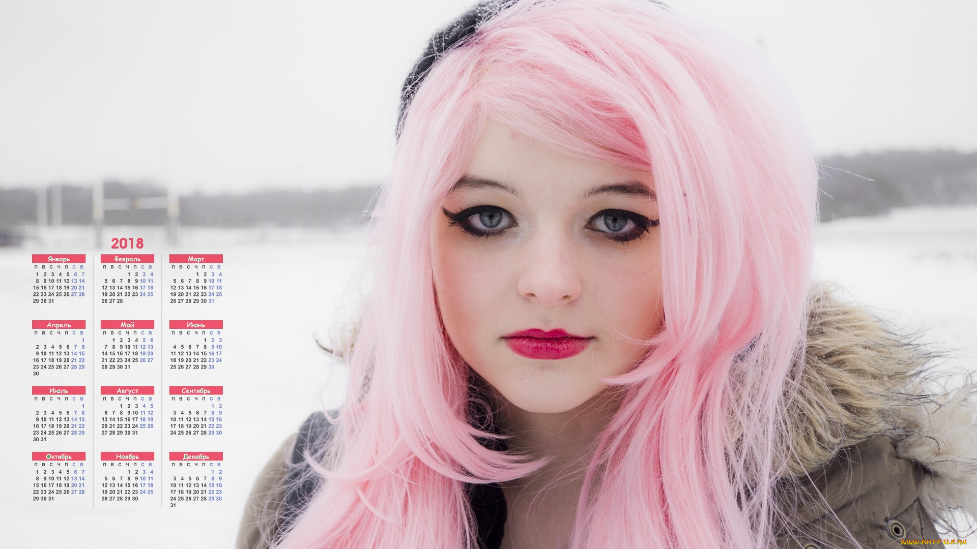 календари, девушки, лицо, взгляд, розовые, волосы