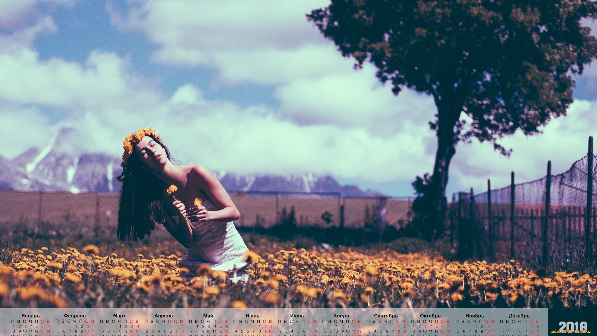 календари, девушки, одуванчик, венок, растения, природа