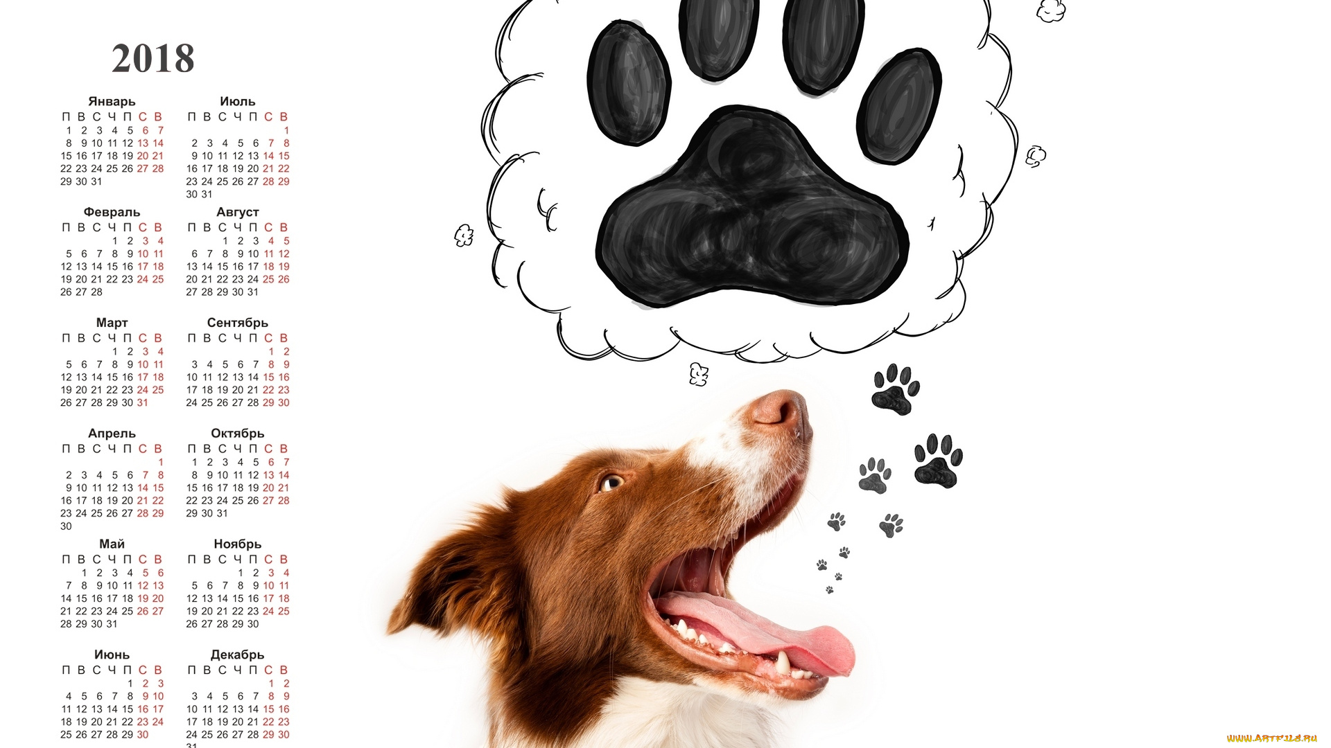 календари, животные, собака, морда