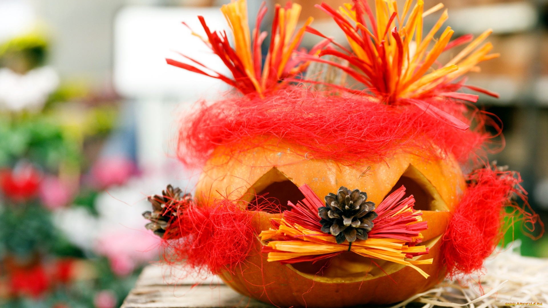 праздничные, хэллоуин, шишка, тыква