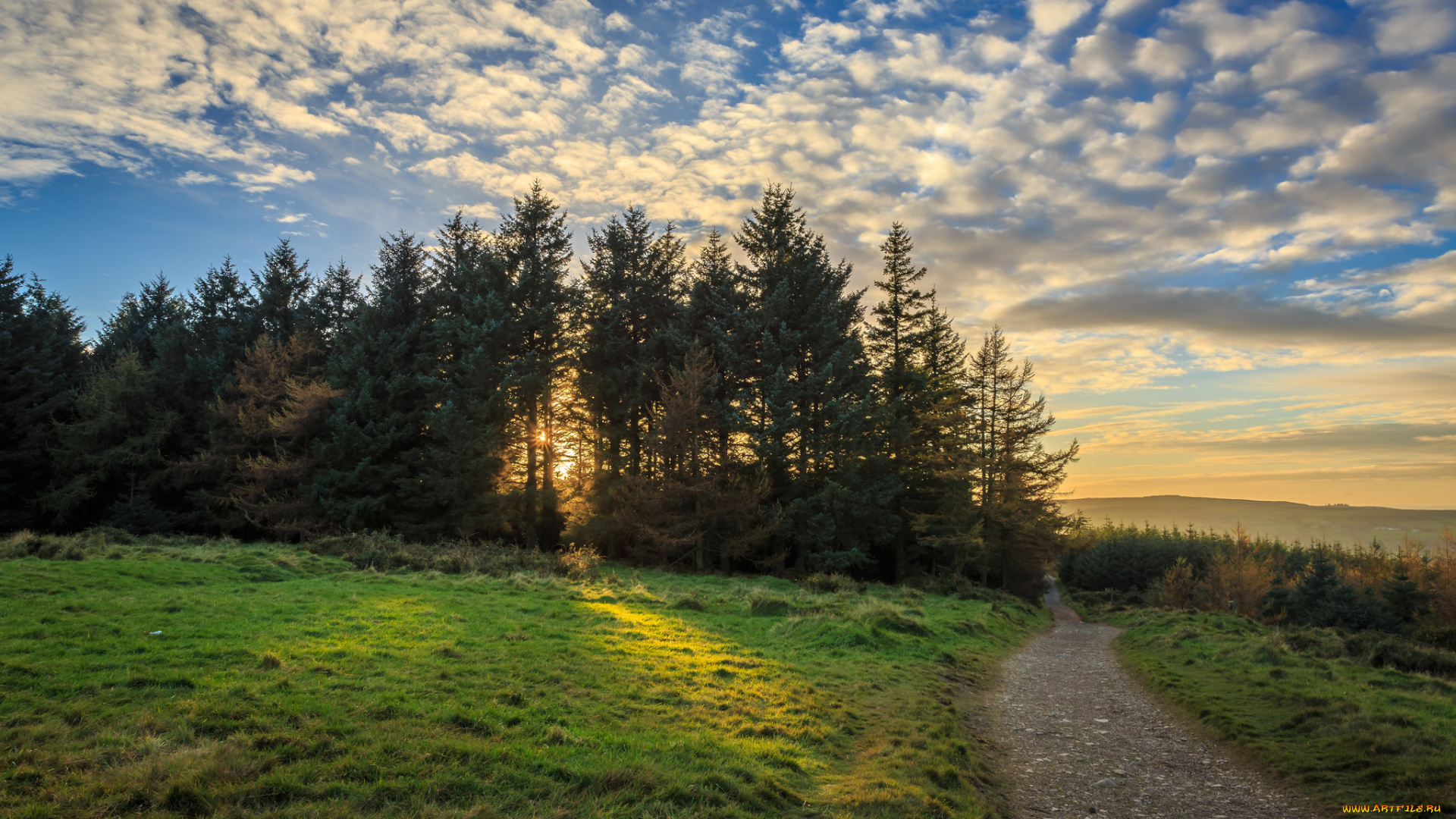 природа, дороги, простор