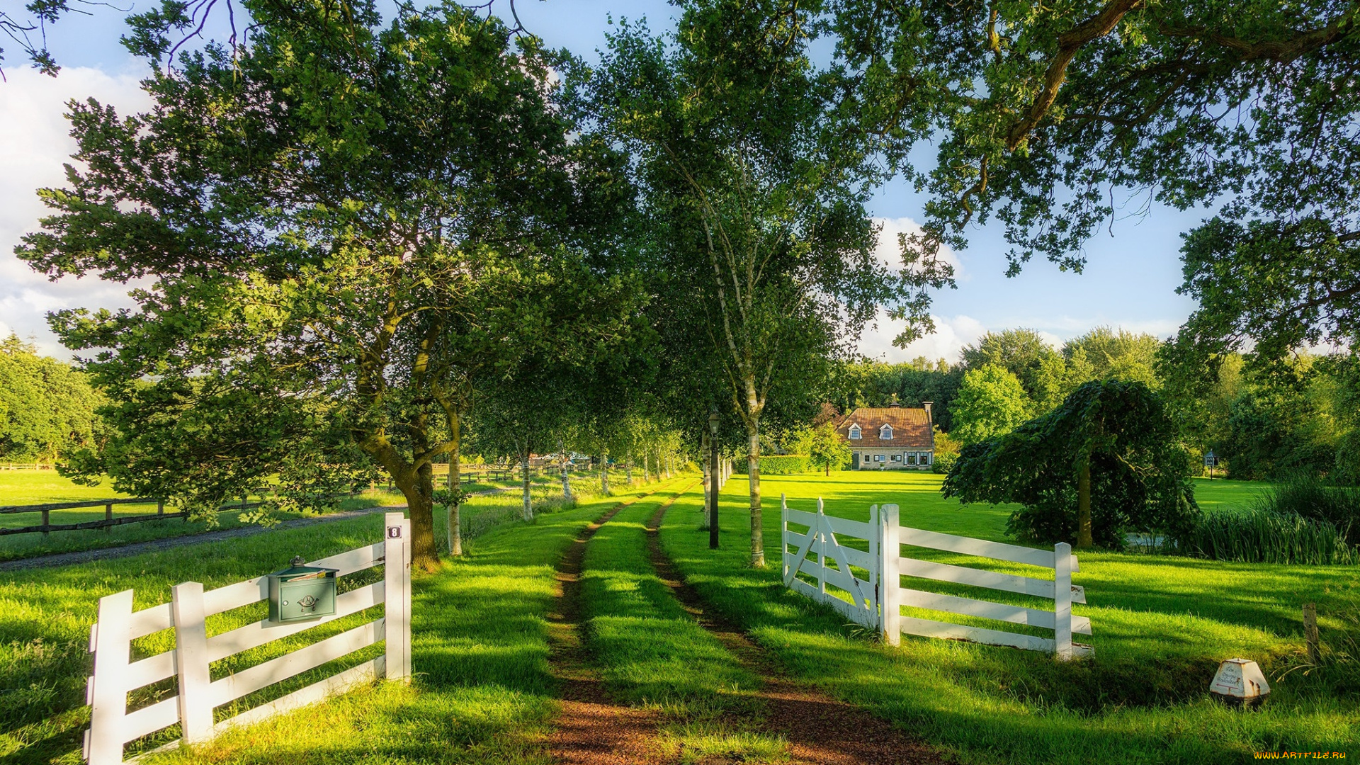 природа, дороги, простор