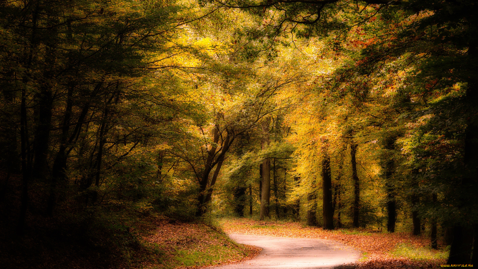 природа, дороги, простор