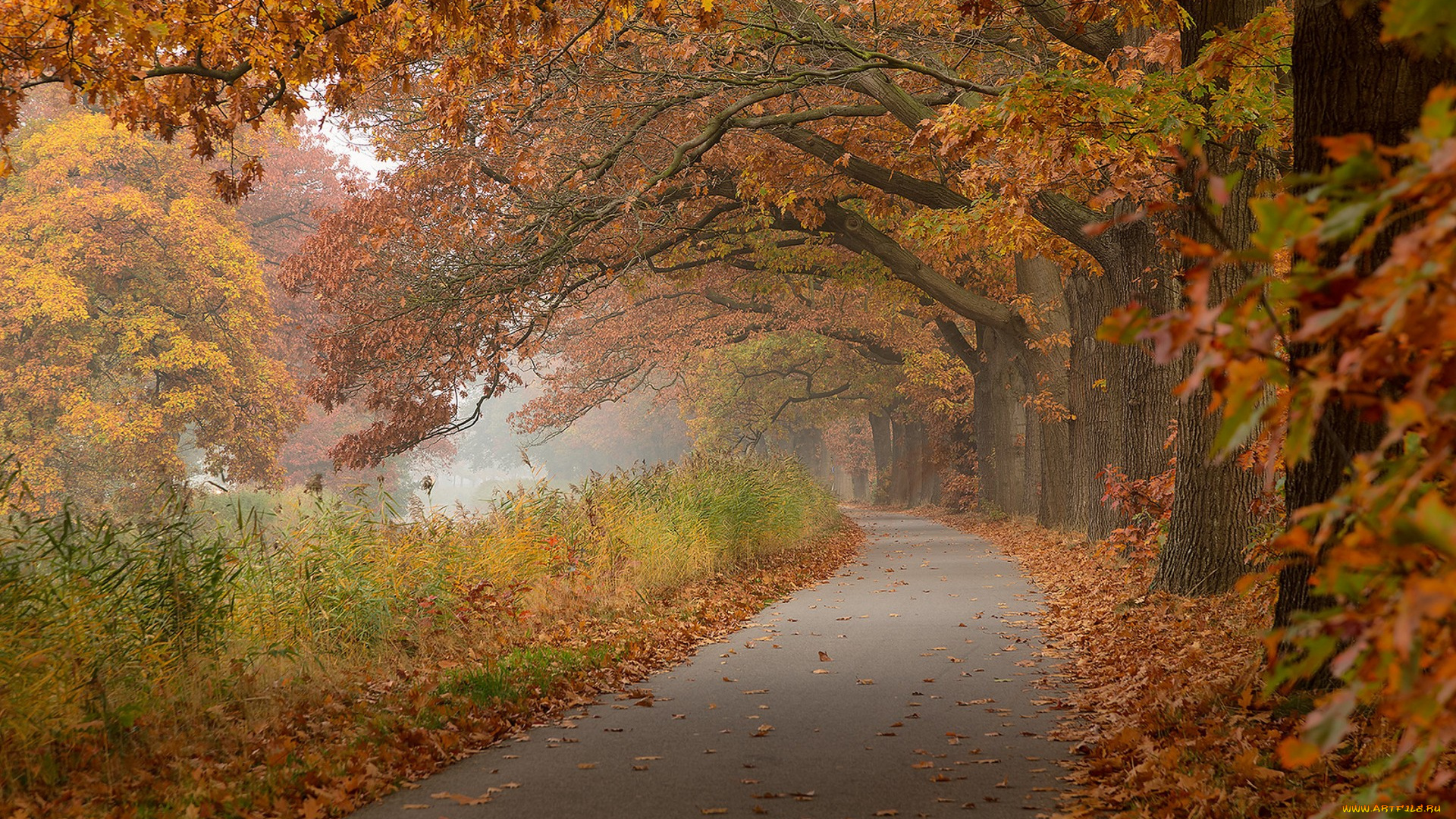 природа, дороги, простор