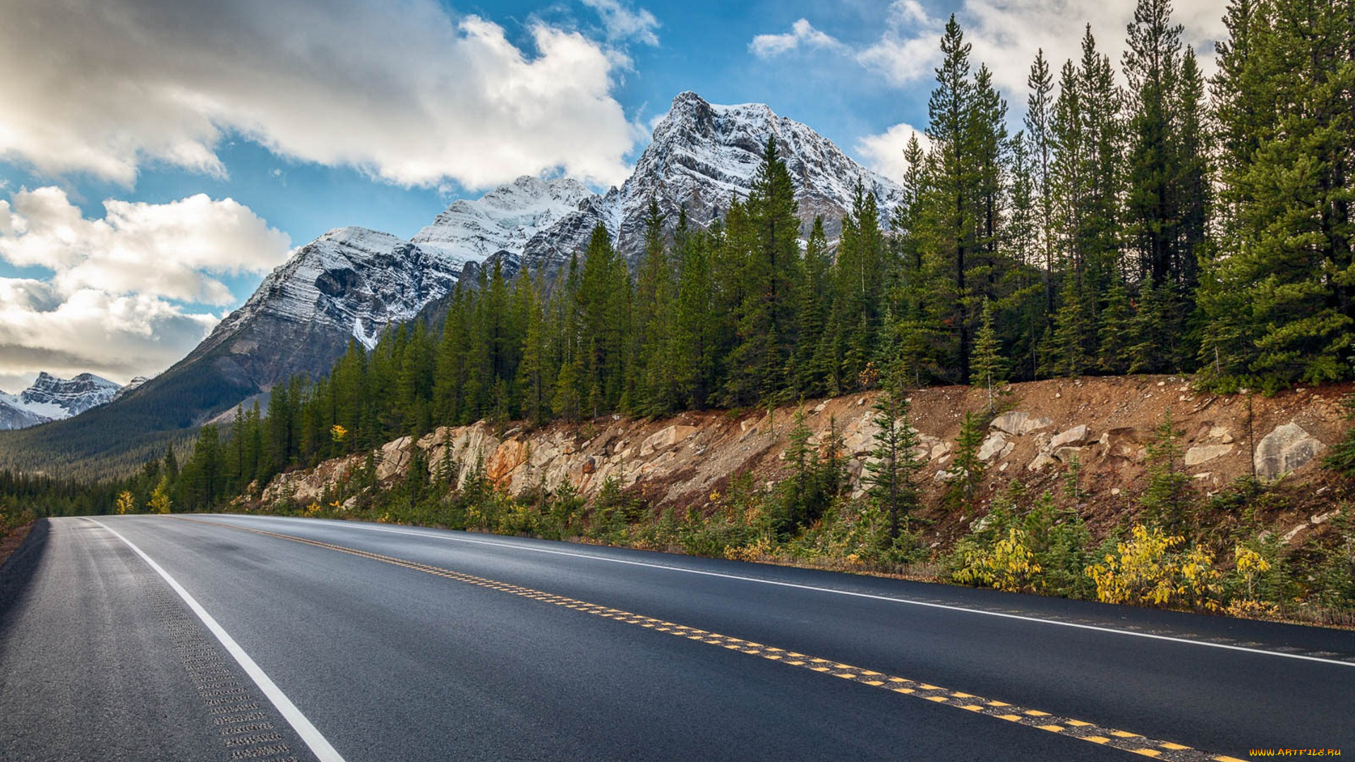 природа, дороги, простор