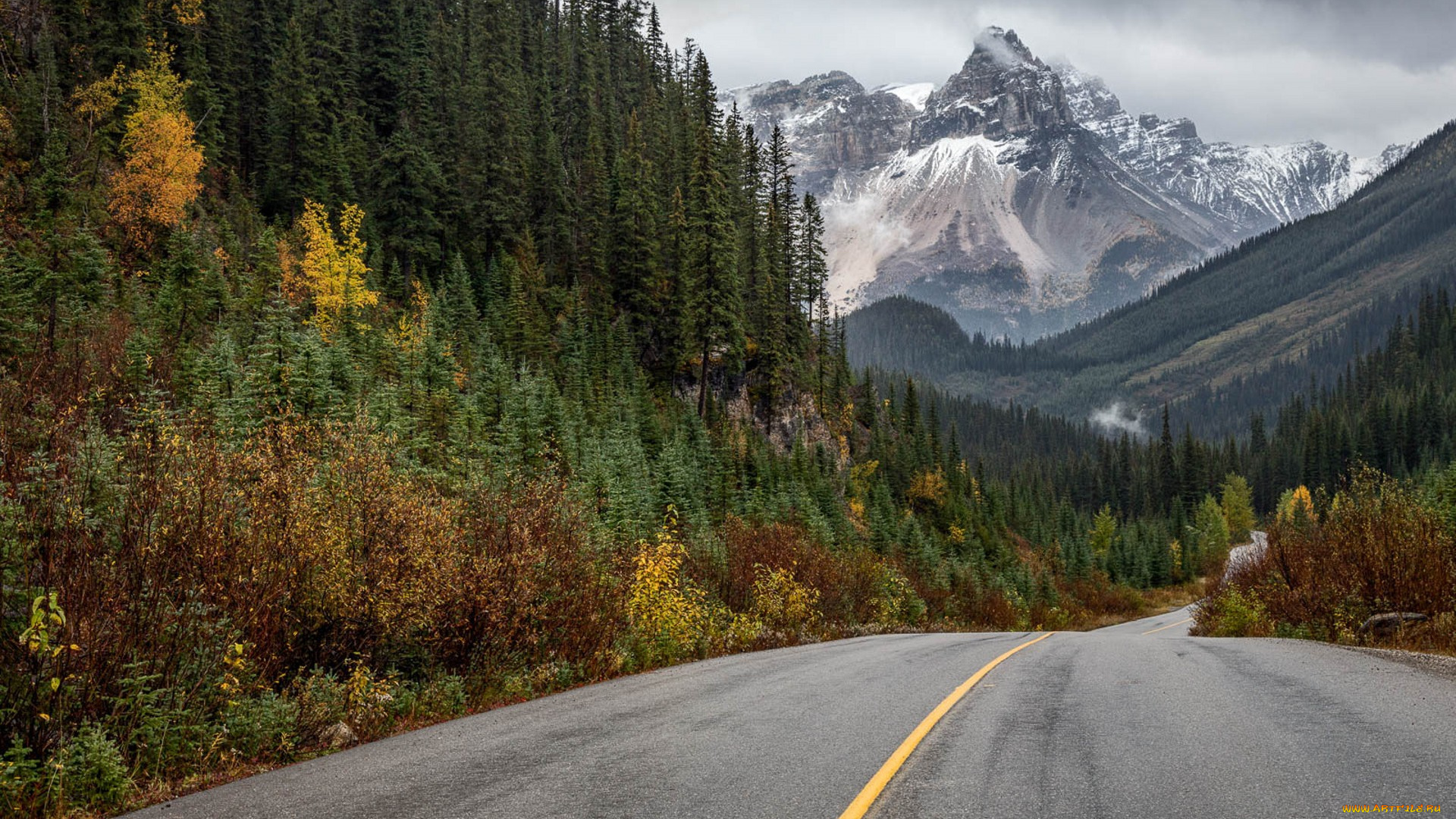 природа, дороги, простор