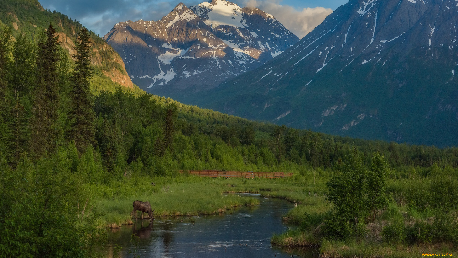 природа, горы, лес, река, eagle, river, chugach, mountains, Чугачские, alaska, игл-ривер, лось, аляска