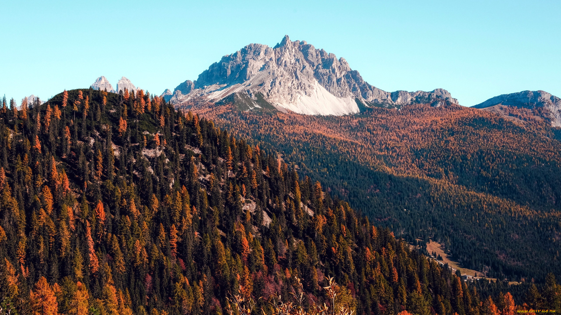 природа, горы, вершина, деревья