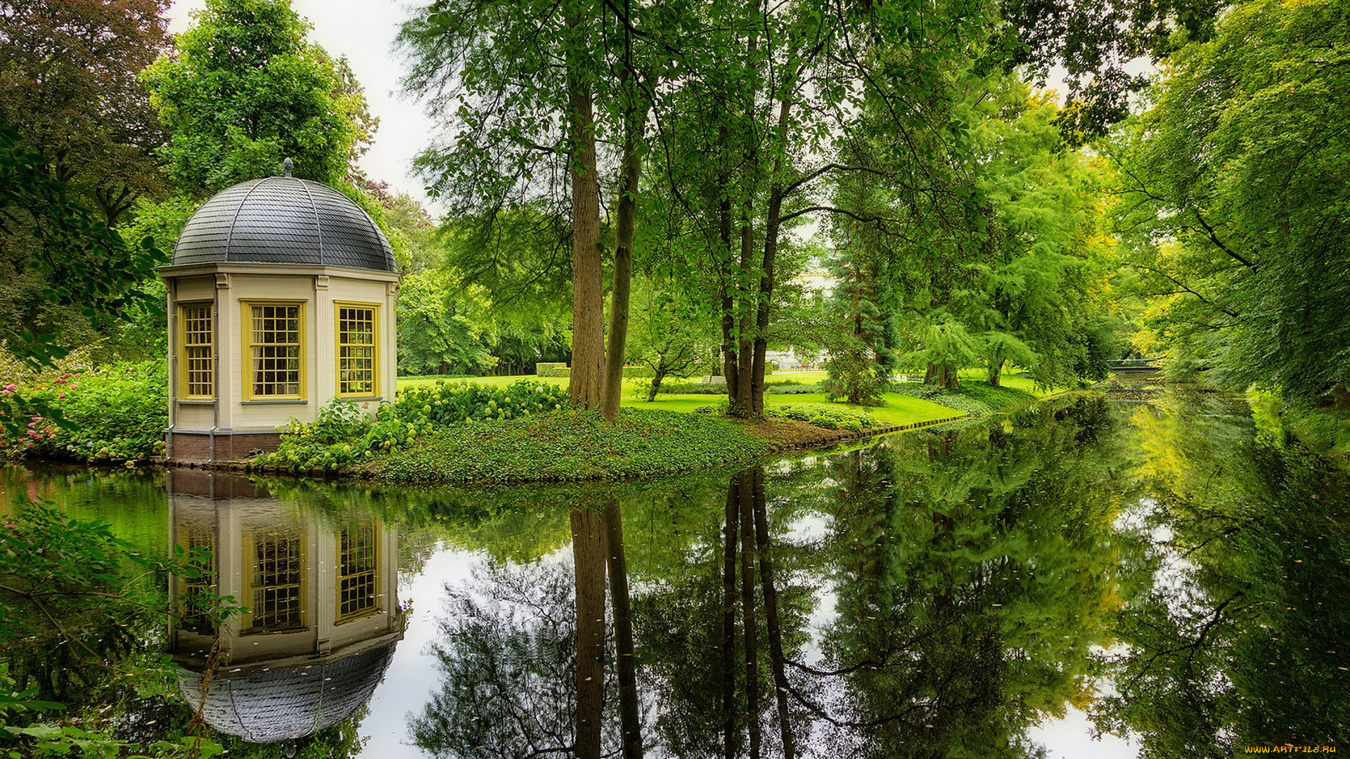 природа, парк, простор