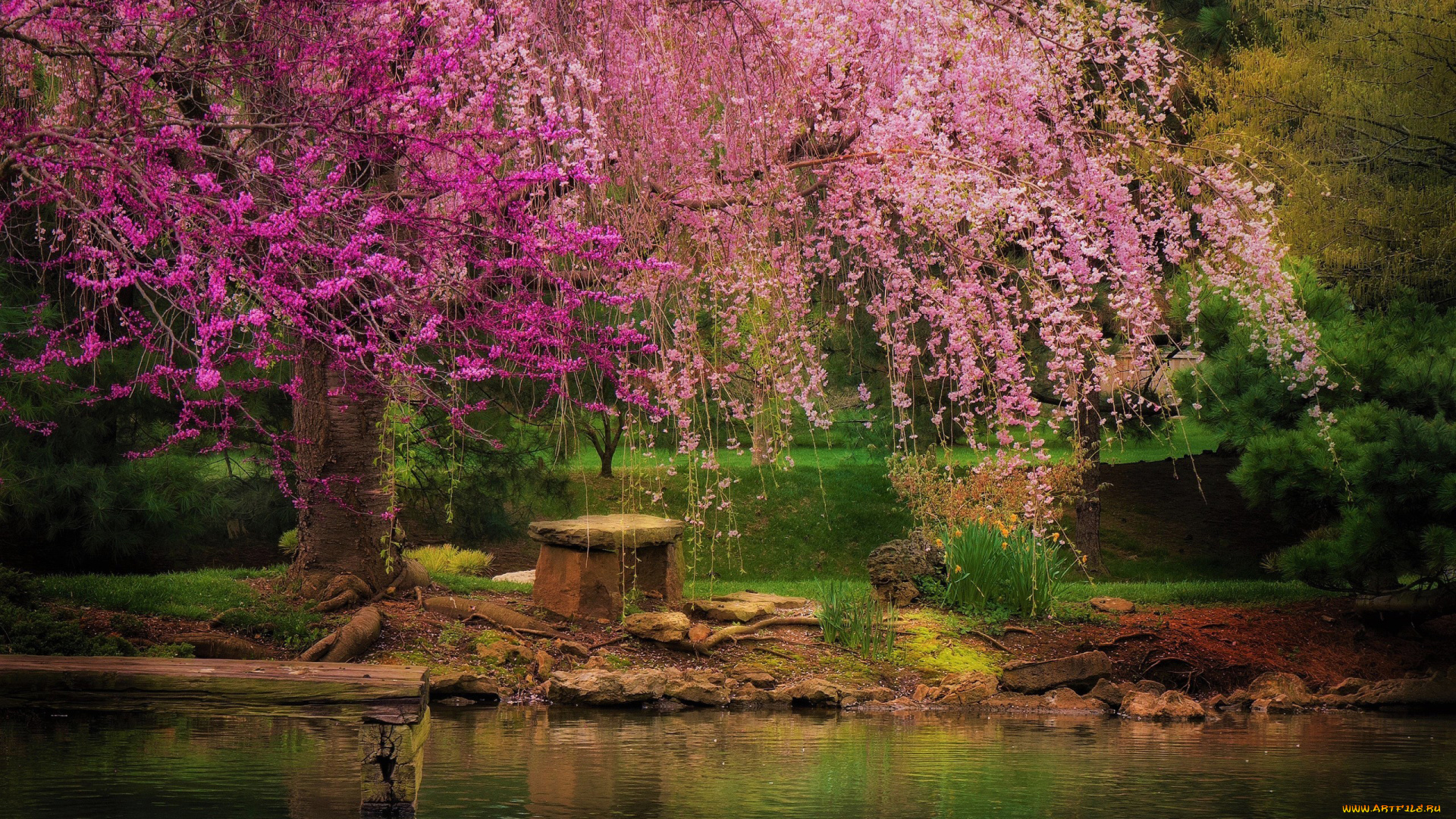 природа, парк, весна, дерево, пруд, скамейка