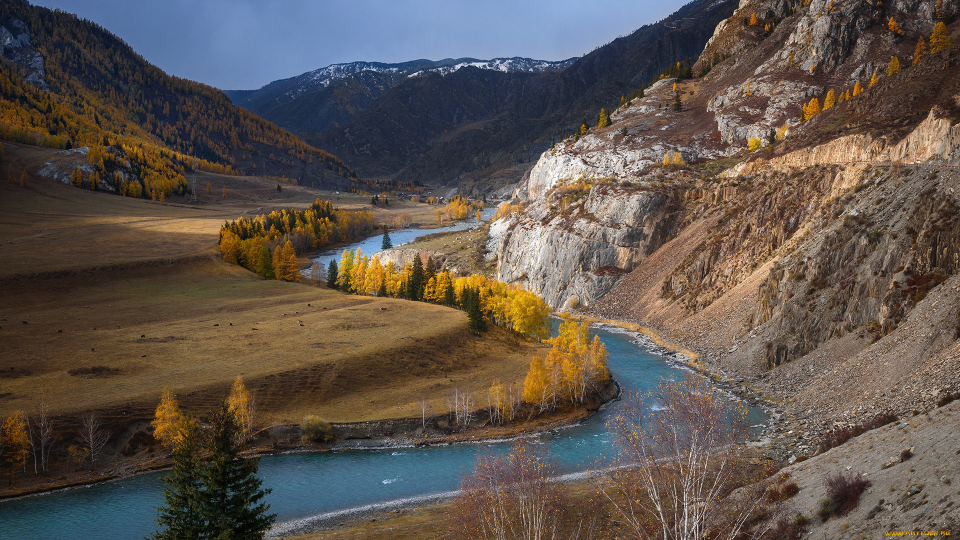 природа, реки, озера, павел, силиненко, река, скалы, горы, осень, Чуя, алтай