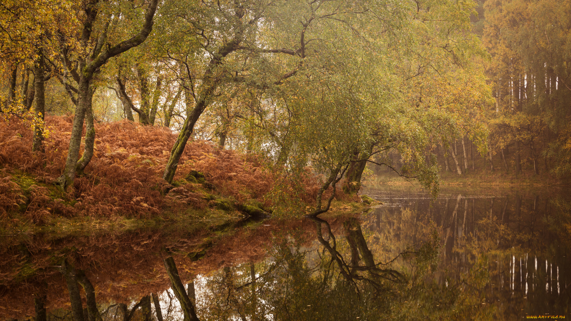 природа, реки, озера, простор