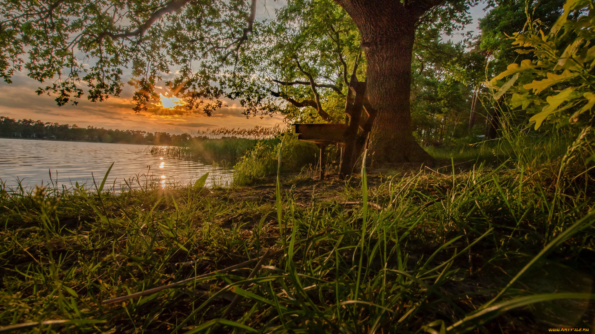 природа, реки, озера, простор