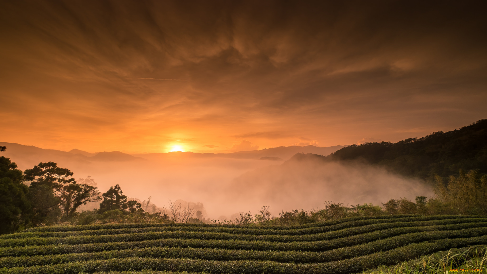 природа, восходы, закаты, простор