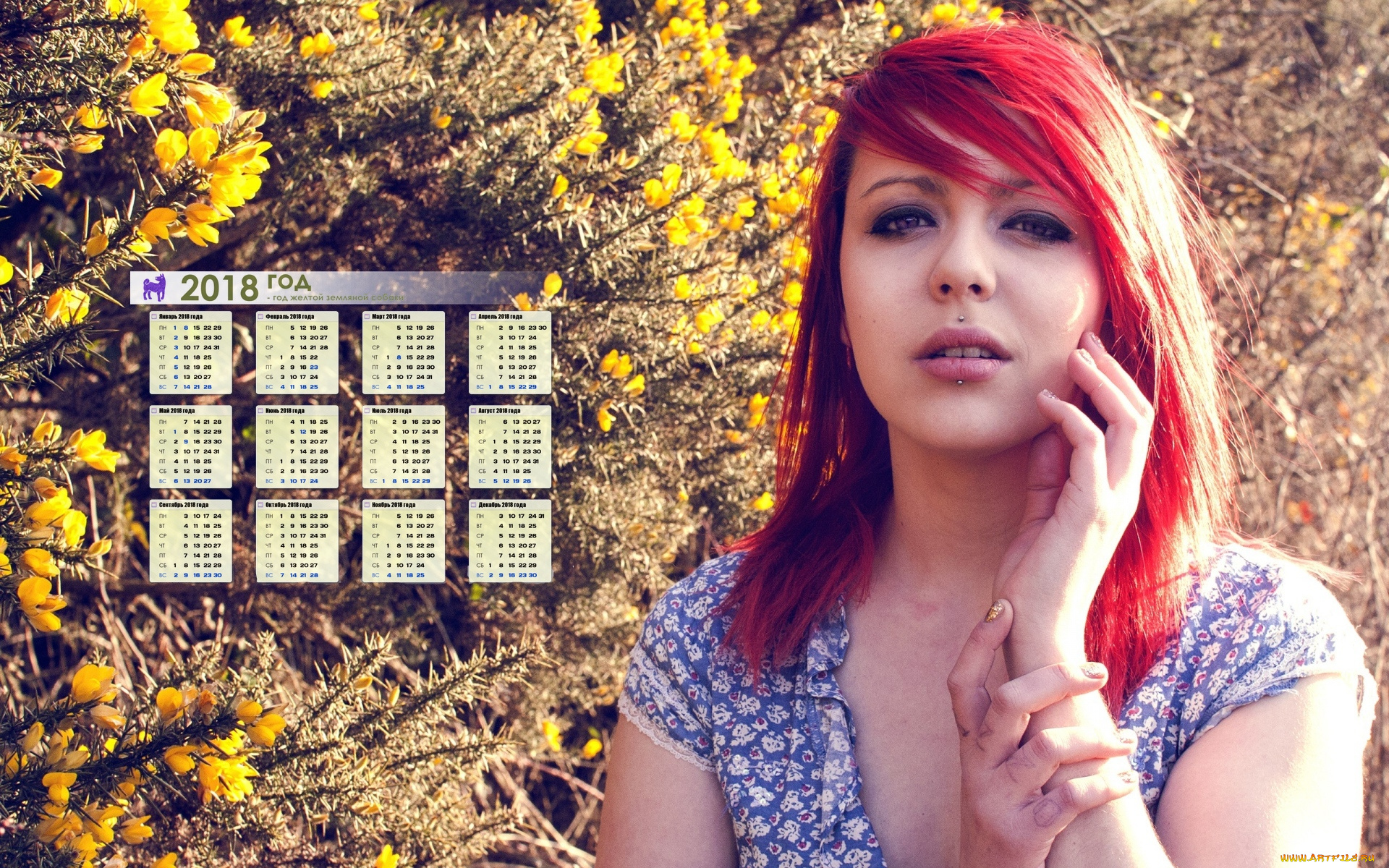 календари, девушки, лицо, взгляд