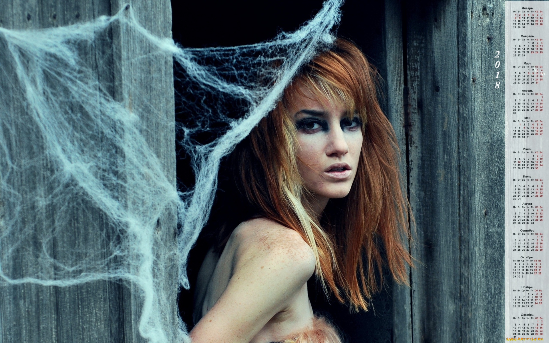 календари, девушки, взгляд, паутина, макияж