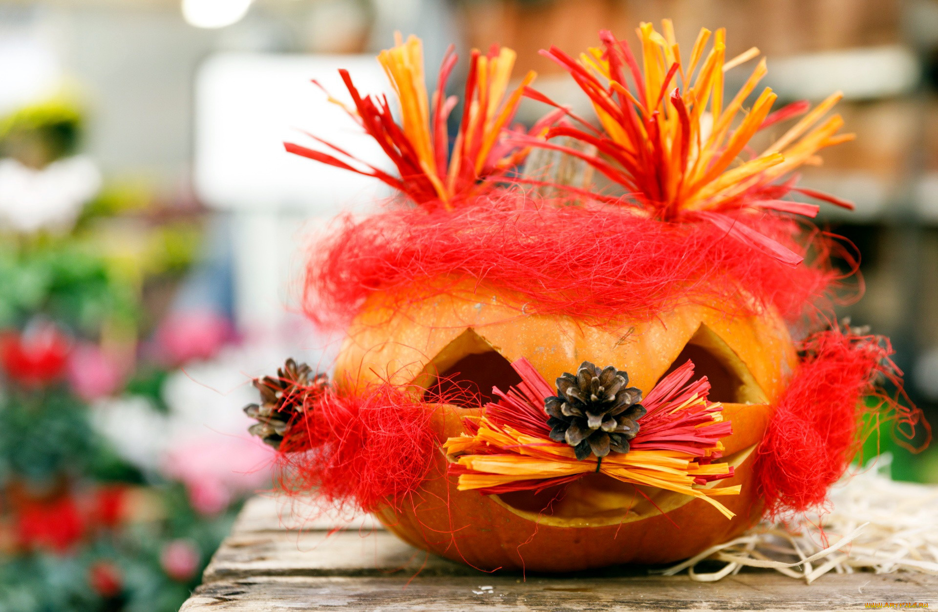 праздничные, хэллоуин, шишка, тыква