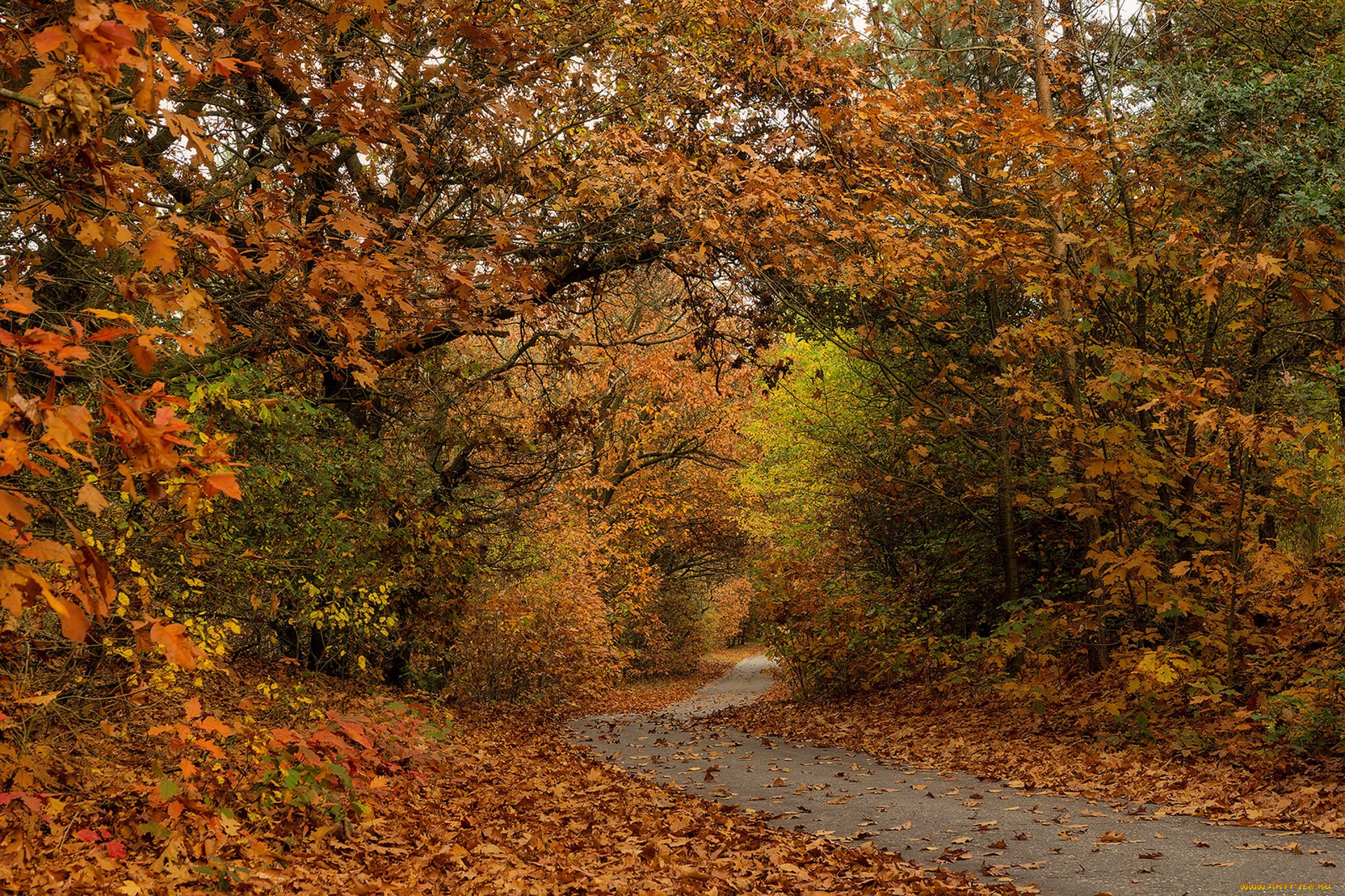природа, дороги, простор