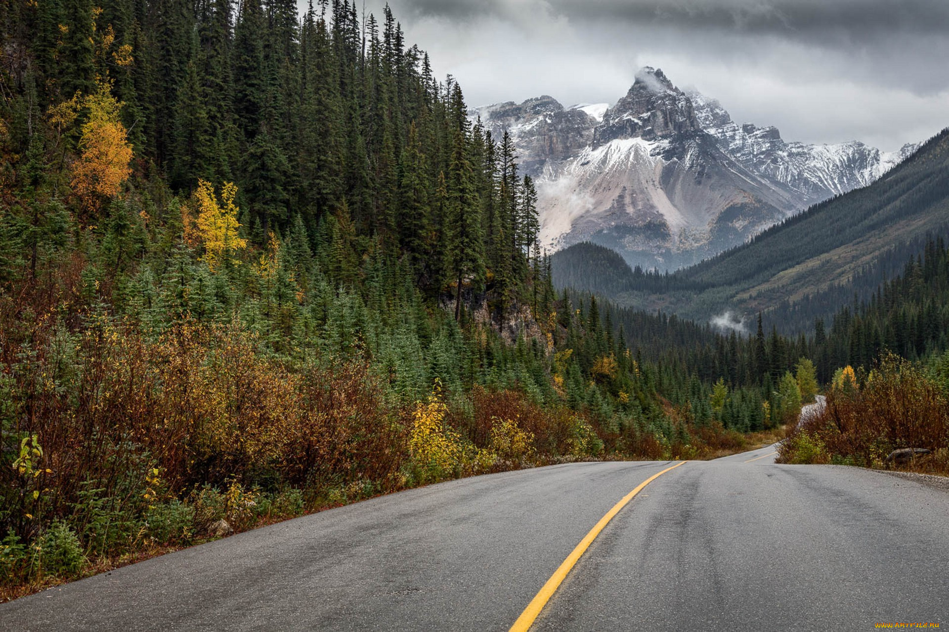 природа, дороги, простор