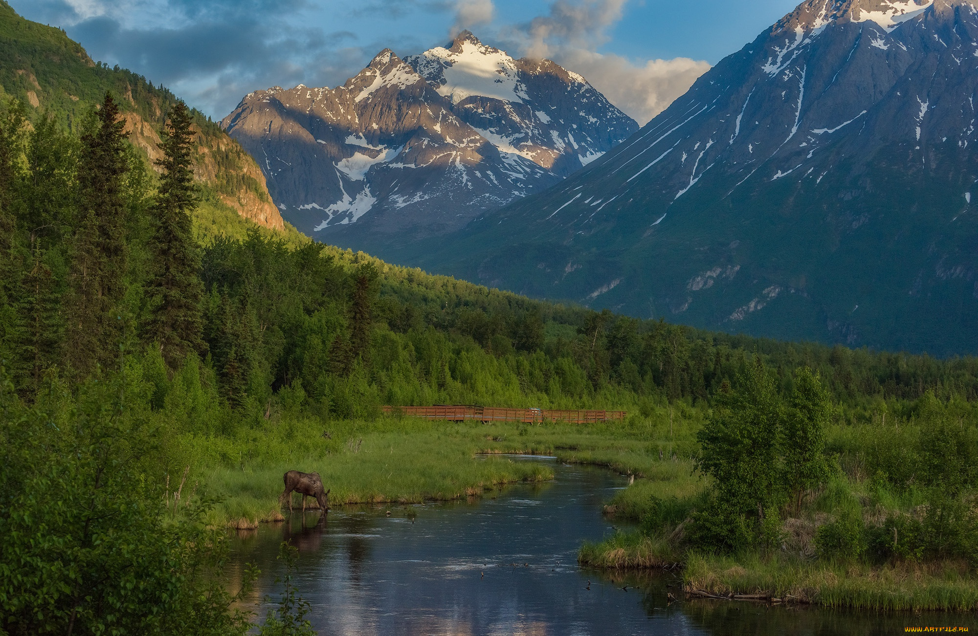 природа, горы, лес, река, eagle, river, chugach, mountains, Чугачские, alaska, игл-ривер, лось, аляска