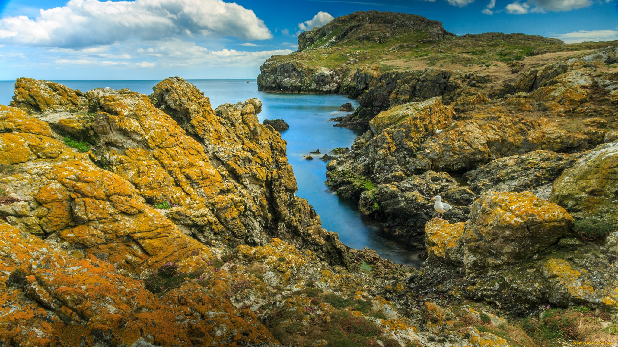 природа, побережье, простор