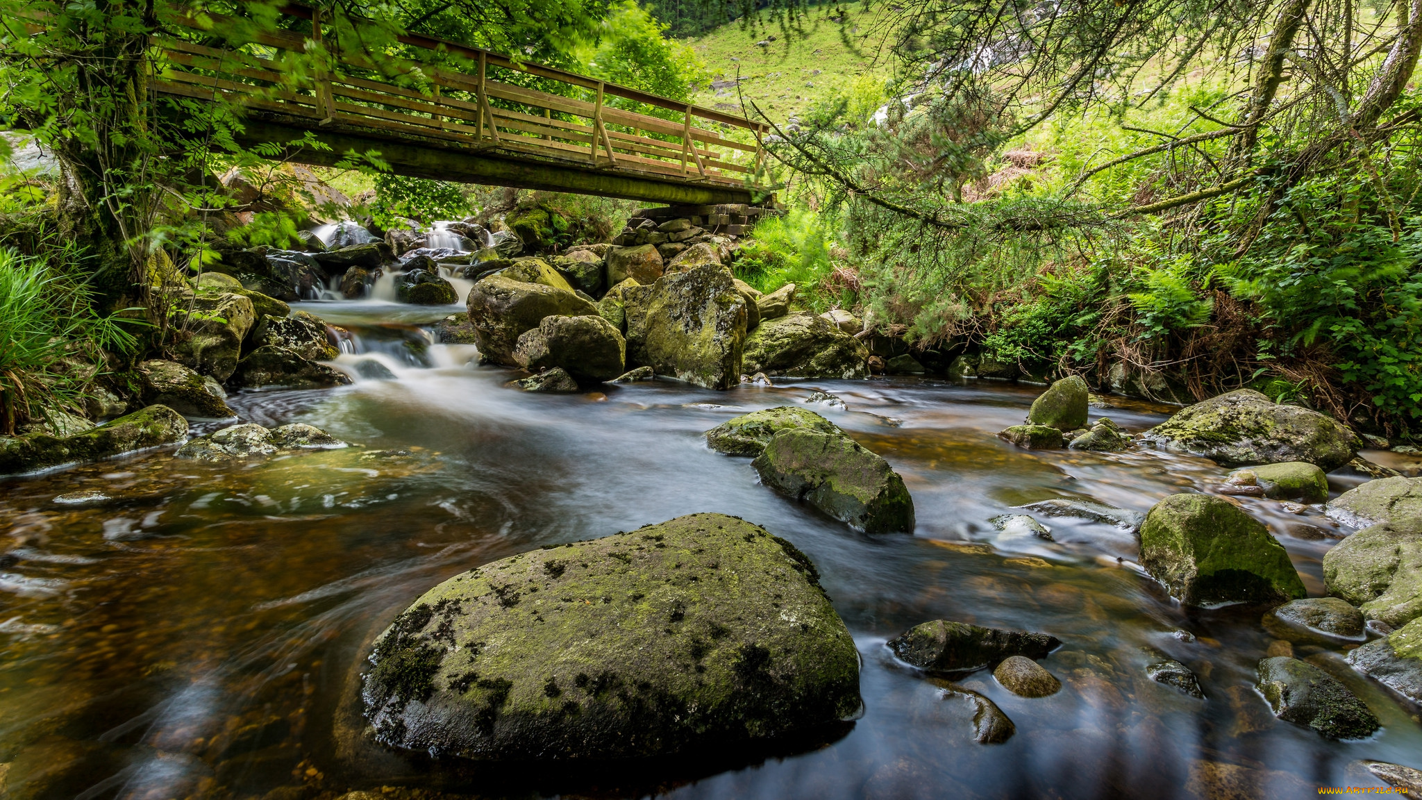 природа, реки, озера, простор