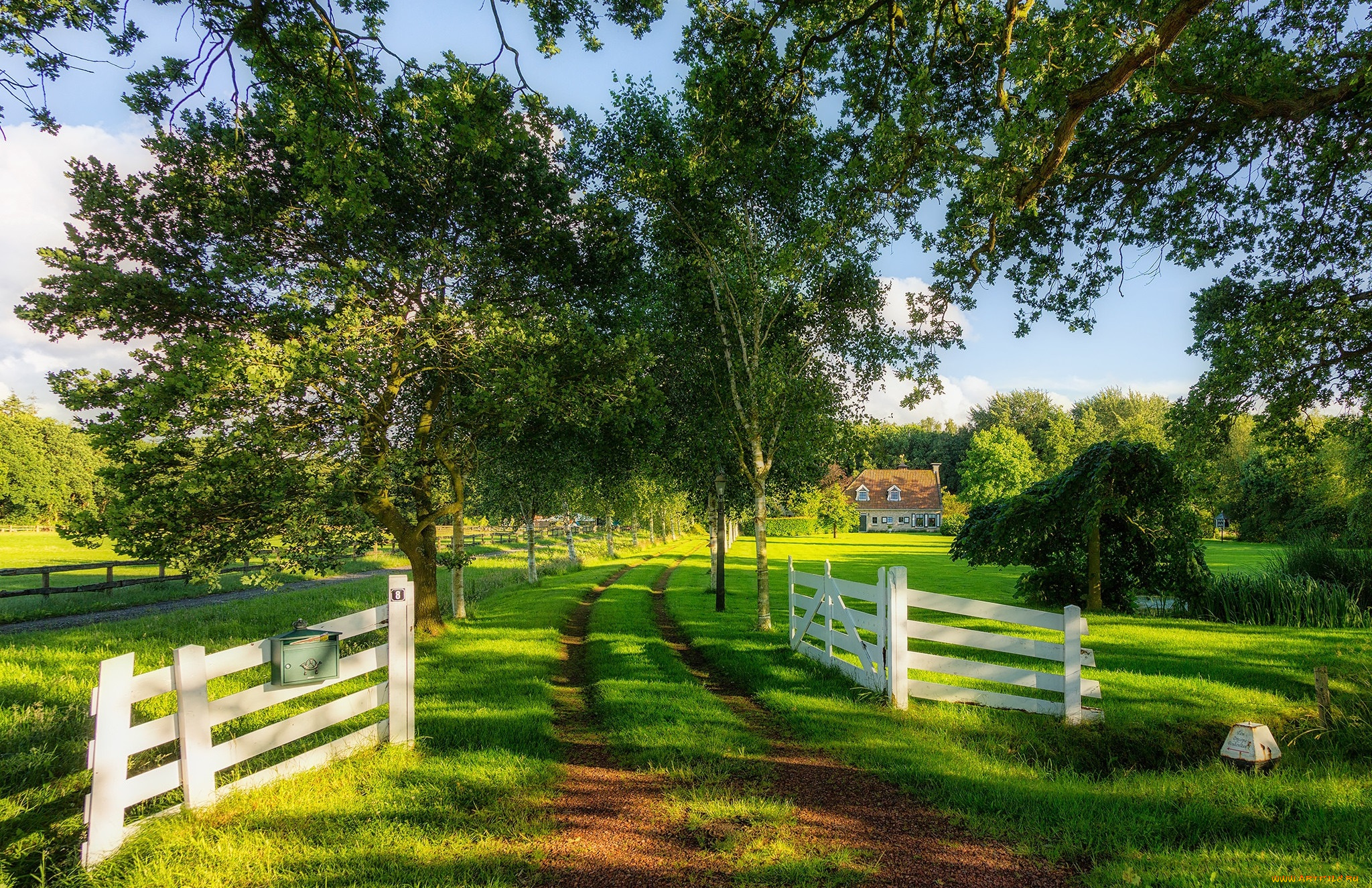 природа, дороги, простор