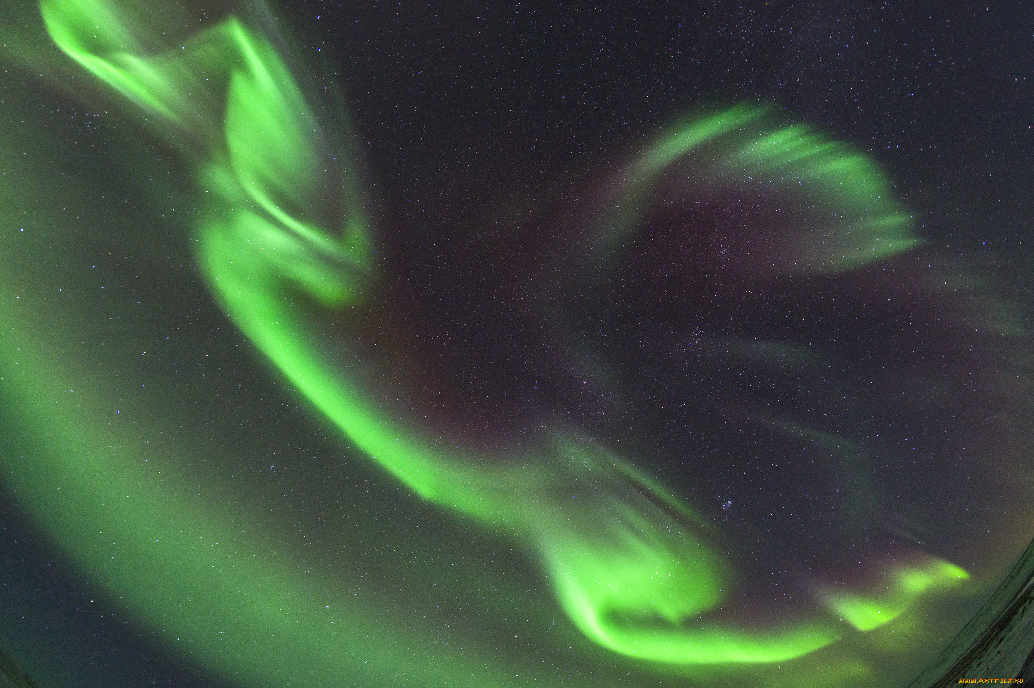 природа, северное, сияние, простор