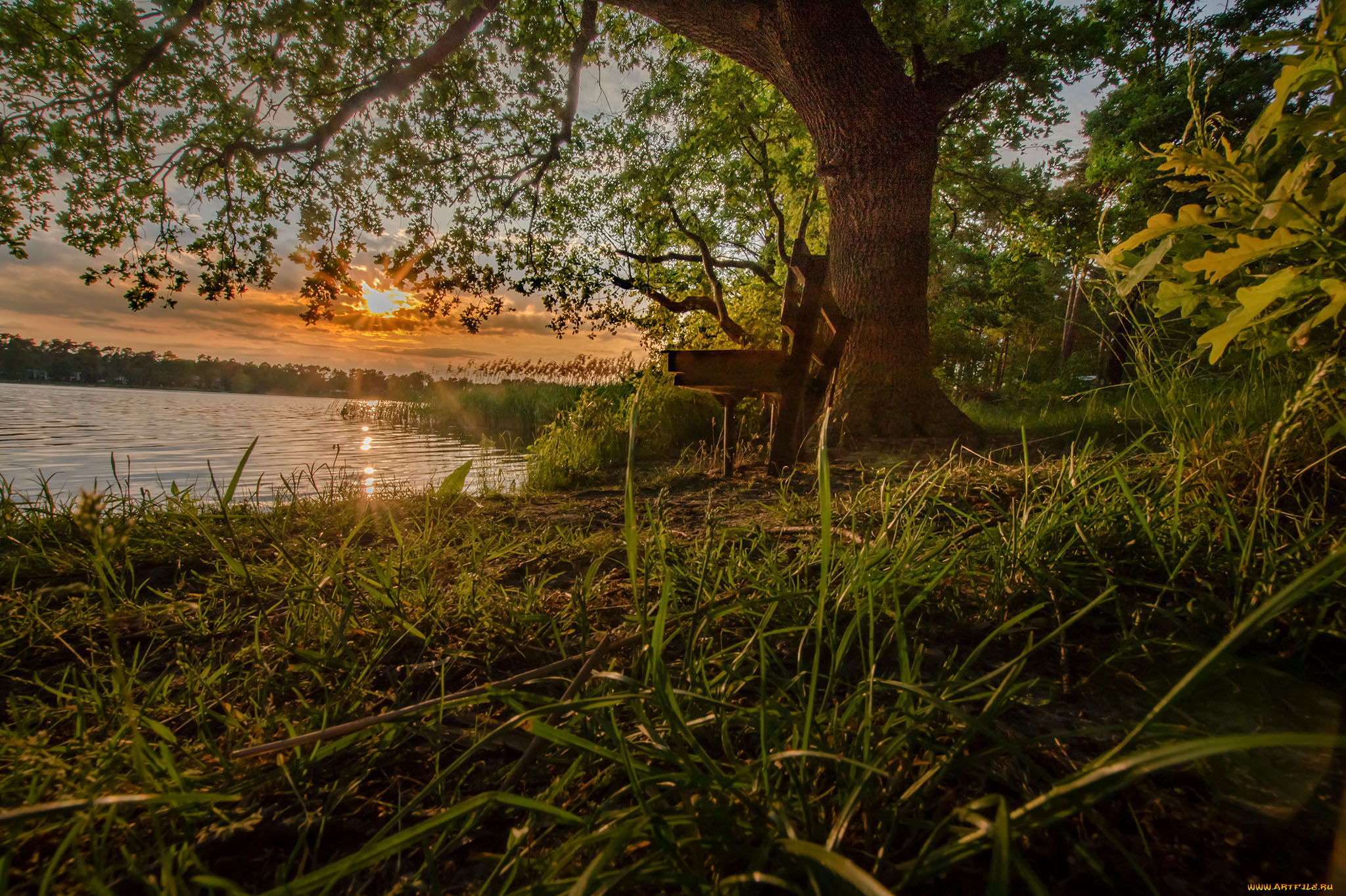 природа, реки, озера, простор