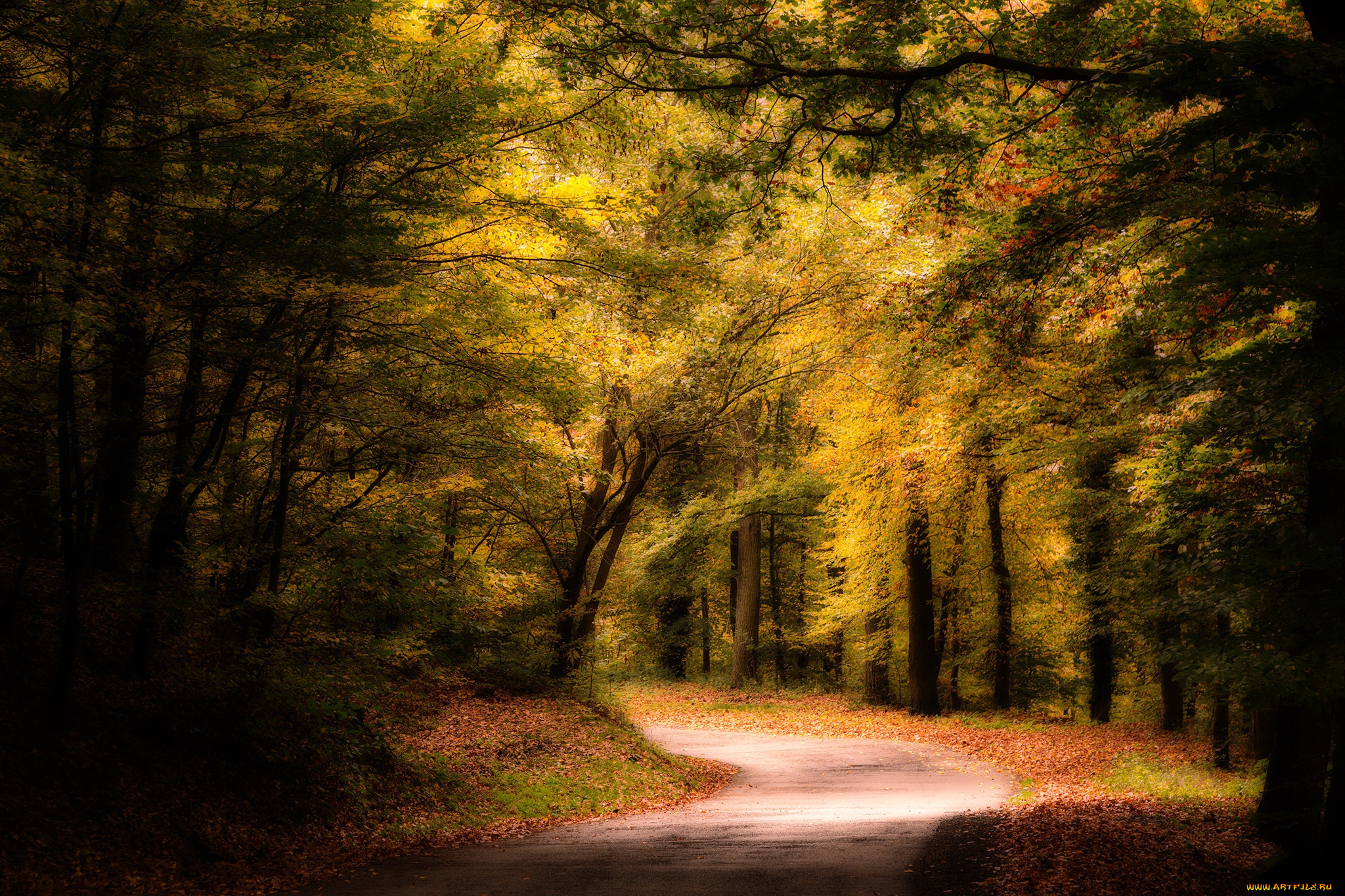 природа, дороги, простор