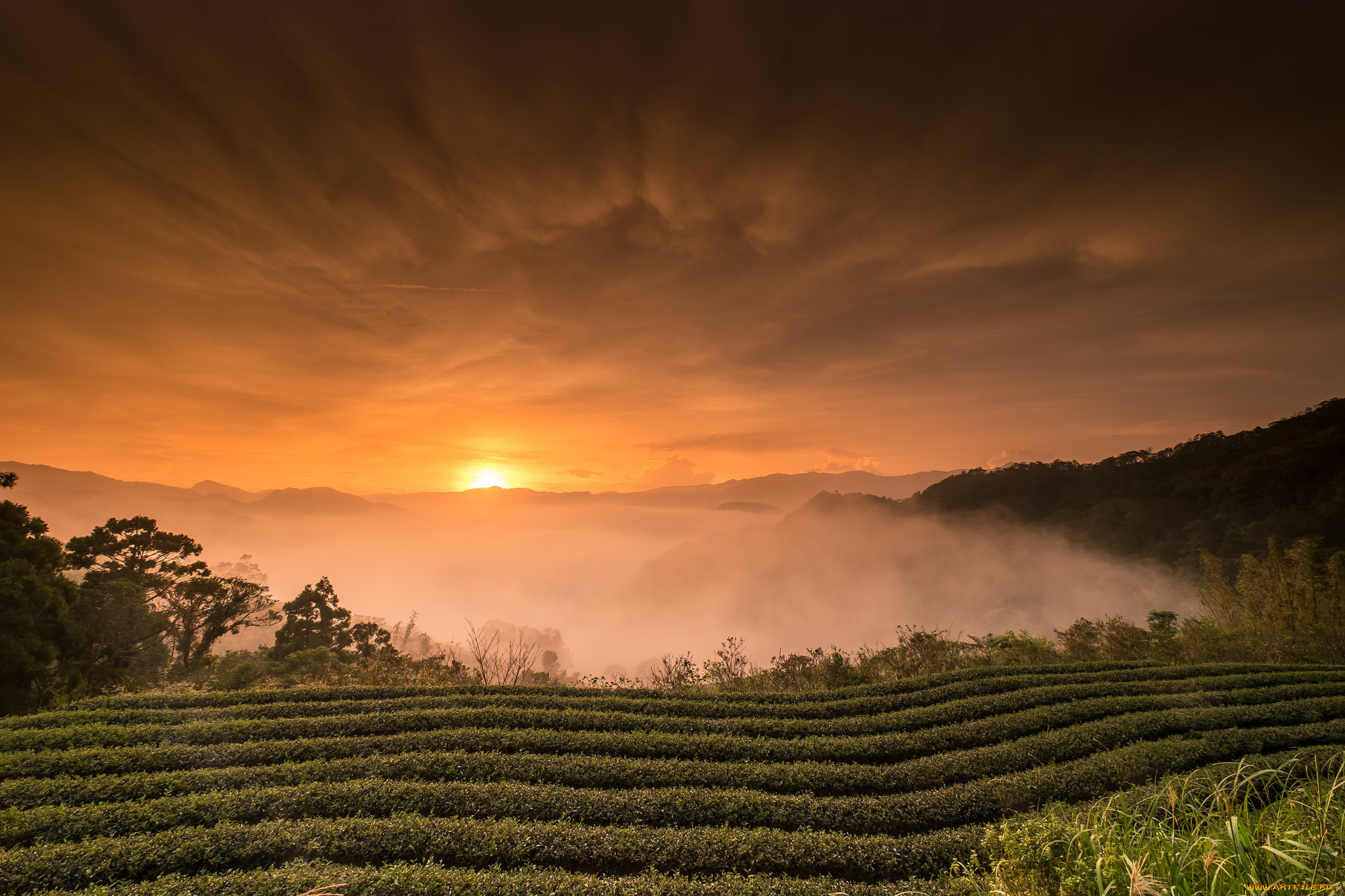 природа, восходы, закаты, простор