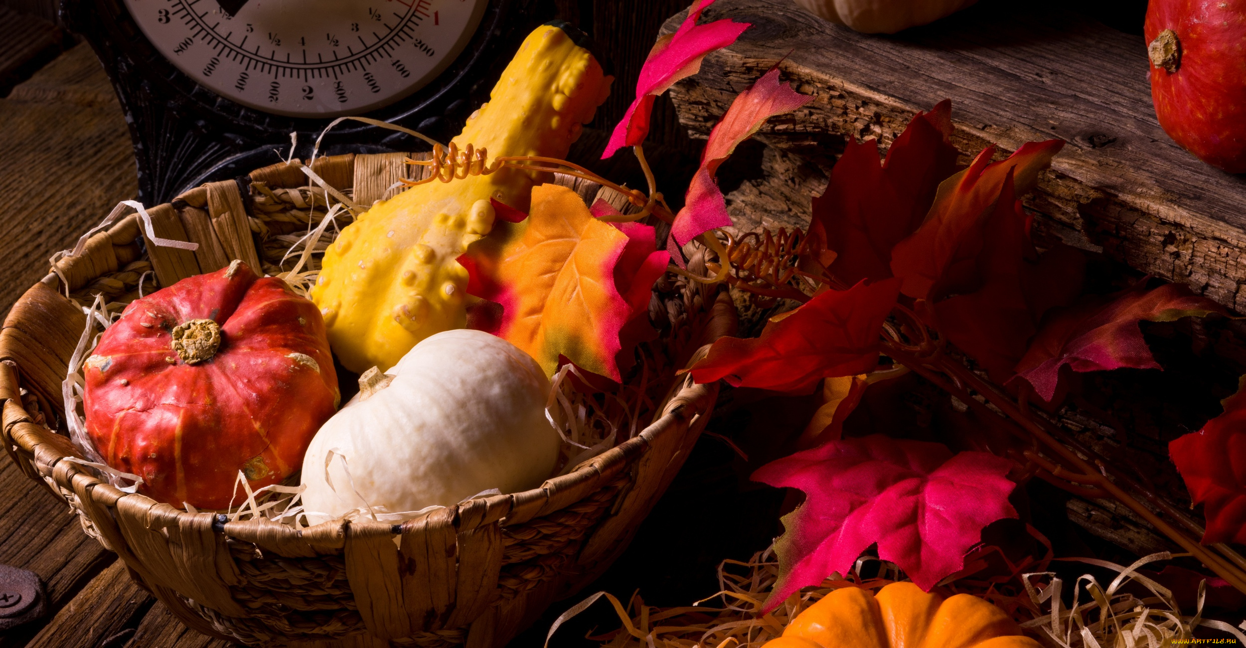 еда, тыква, дары, осени, листья, корзина