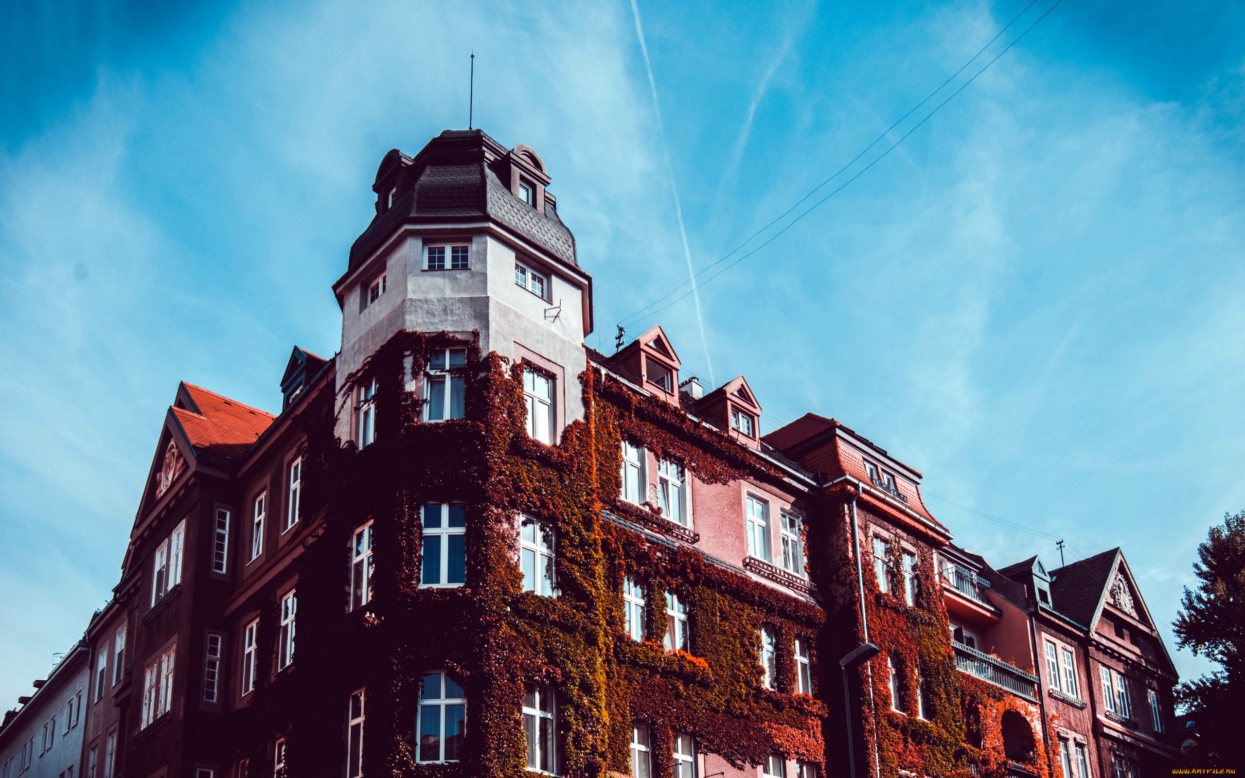 города, -, здания, , дома, плющ, башня, здание