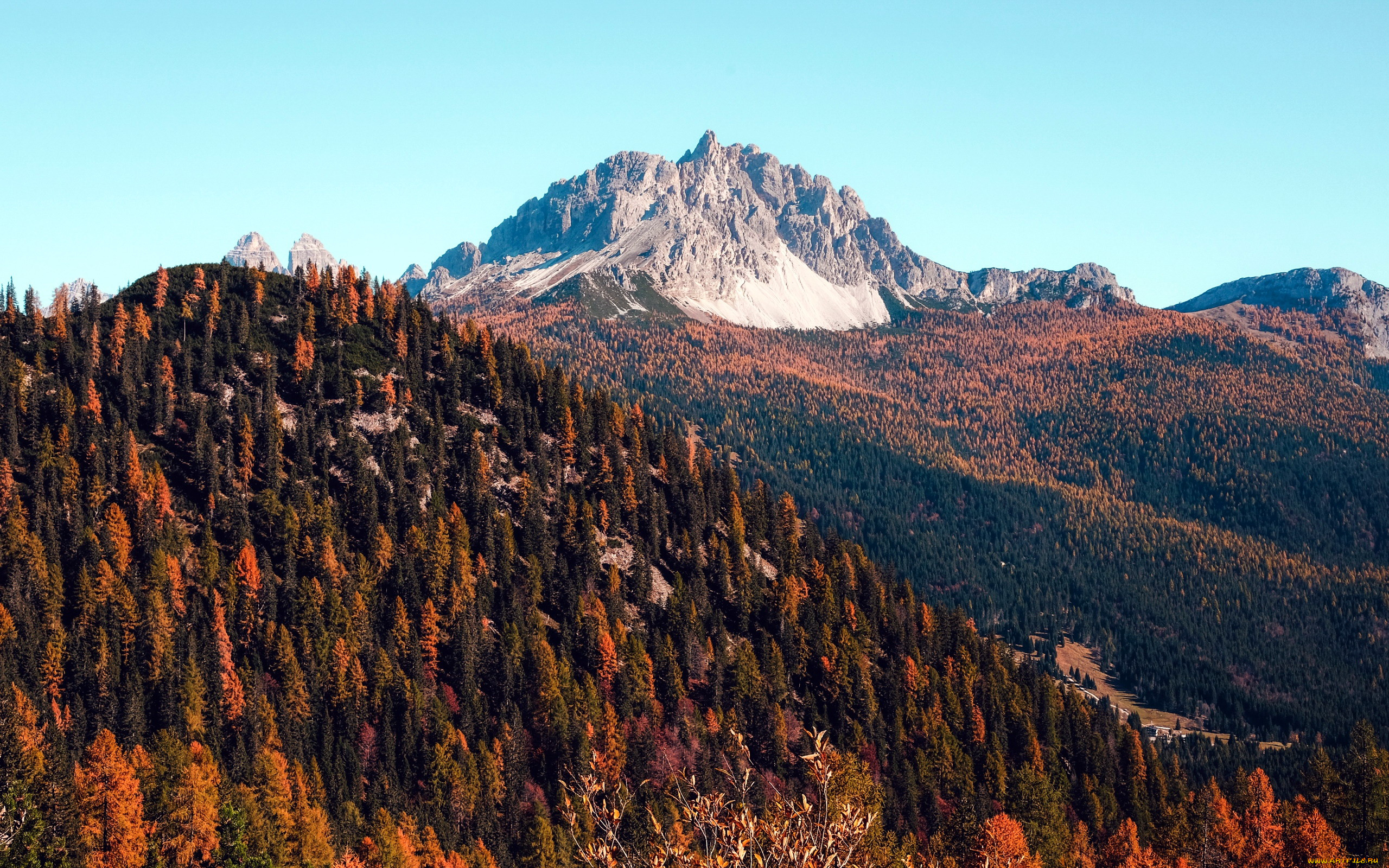 природа, горы, вершина, деревья