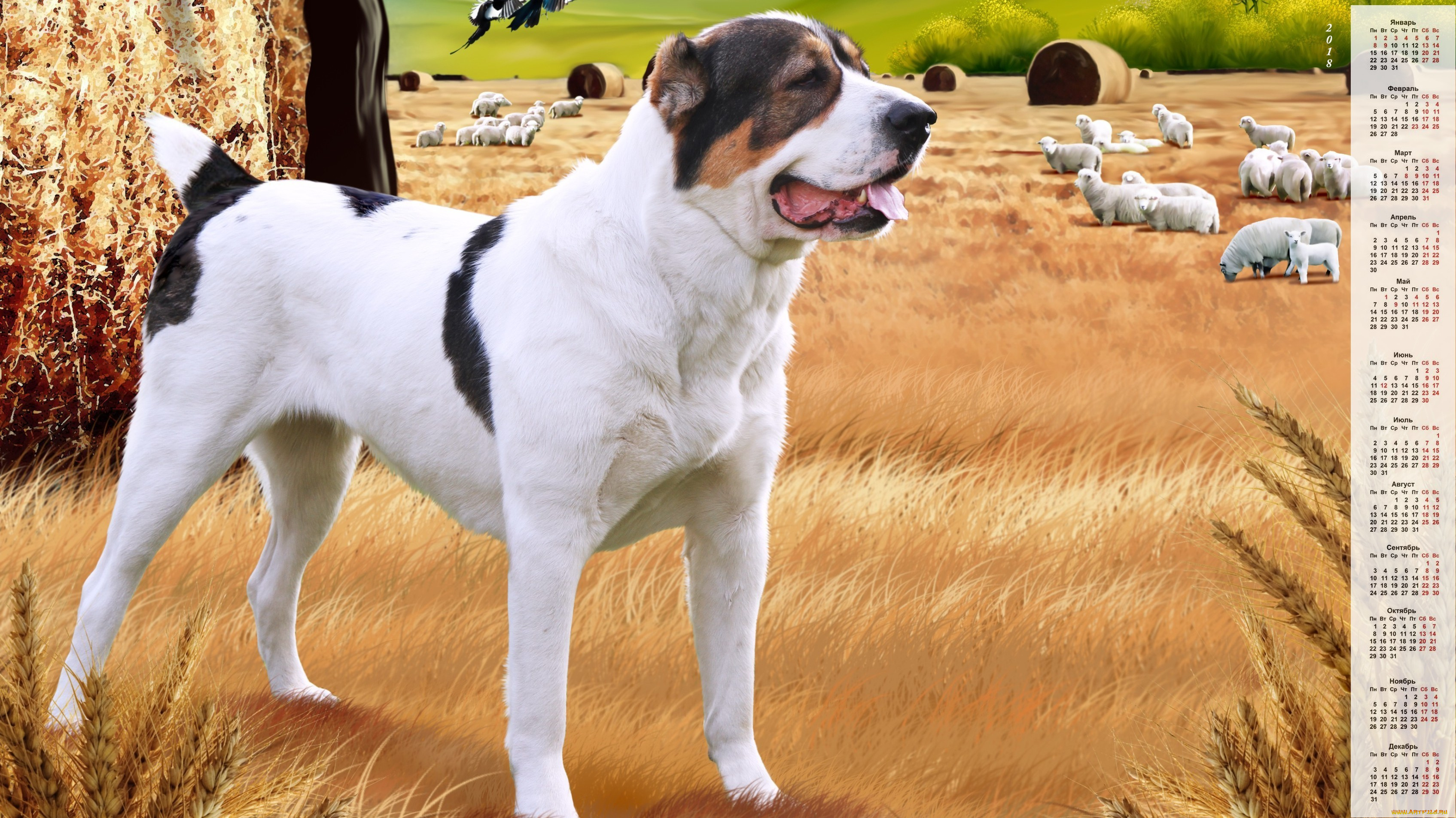 календари, животные, собака, растение, овца, взгляд