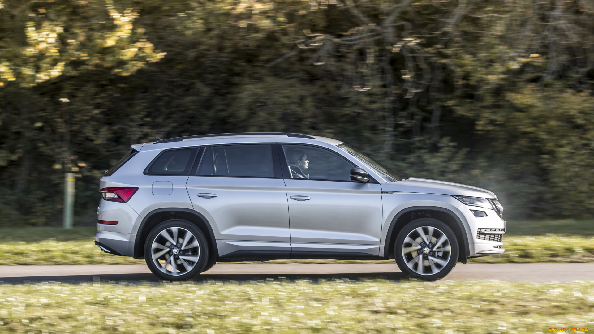 автомобили, skoda