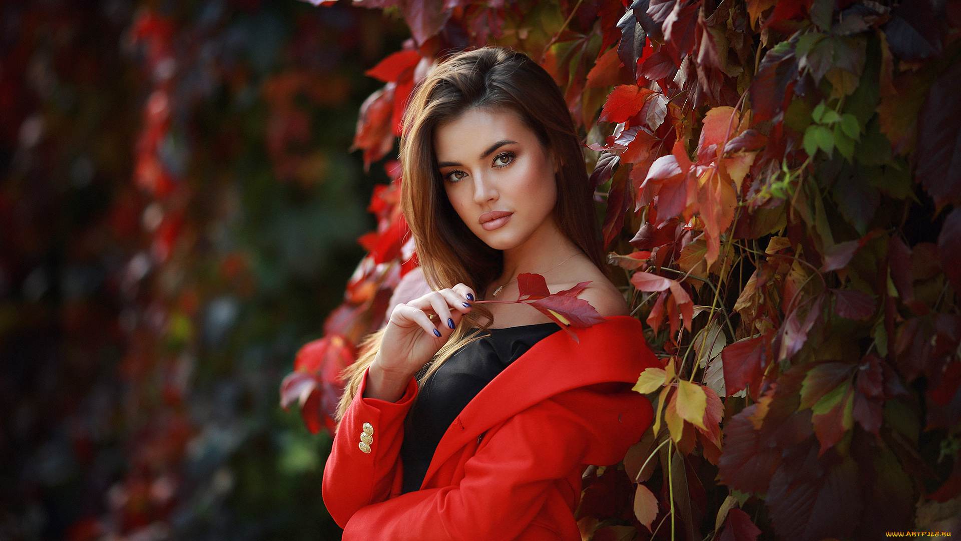 девушка, девушки, -unsort, , рыжеволосые, и, другие, модель