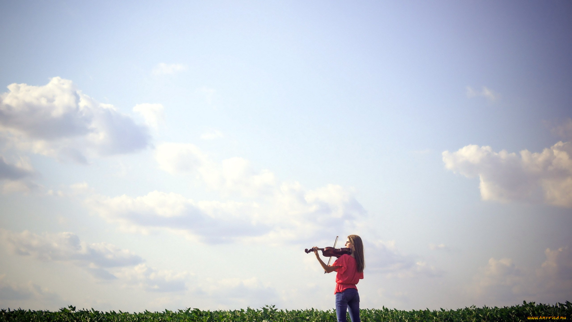 музыка, -другое, скрипка