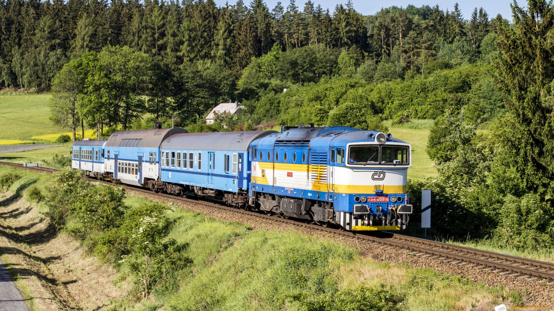 техника, поезда, поезд, вагоны, путь, лес, railroads, trains, forests, локомотив, железная, дорога