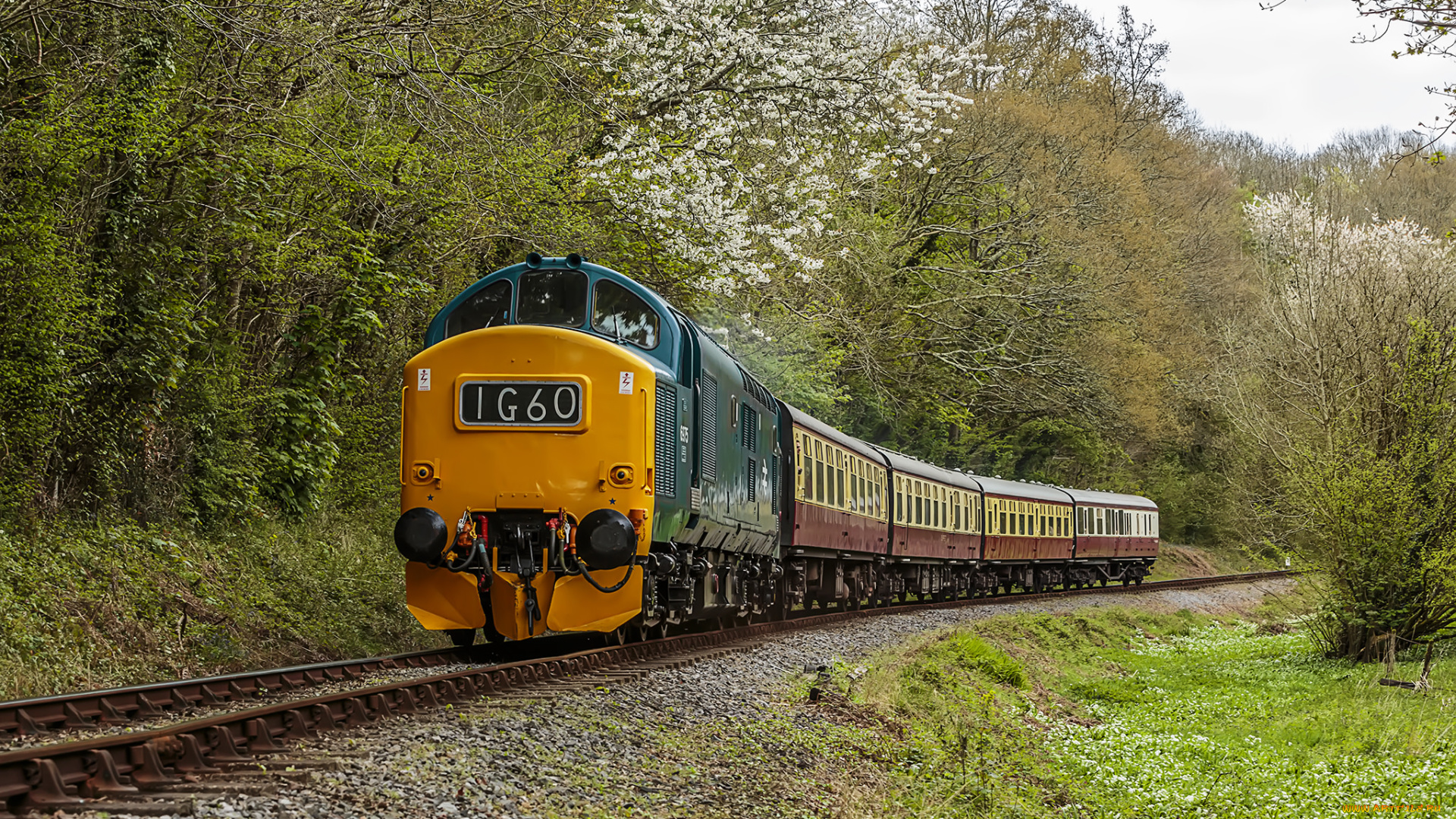 техника, поезда, состав, локомотив