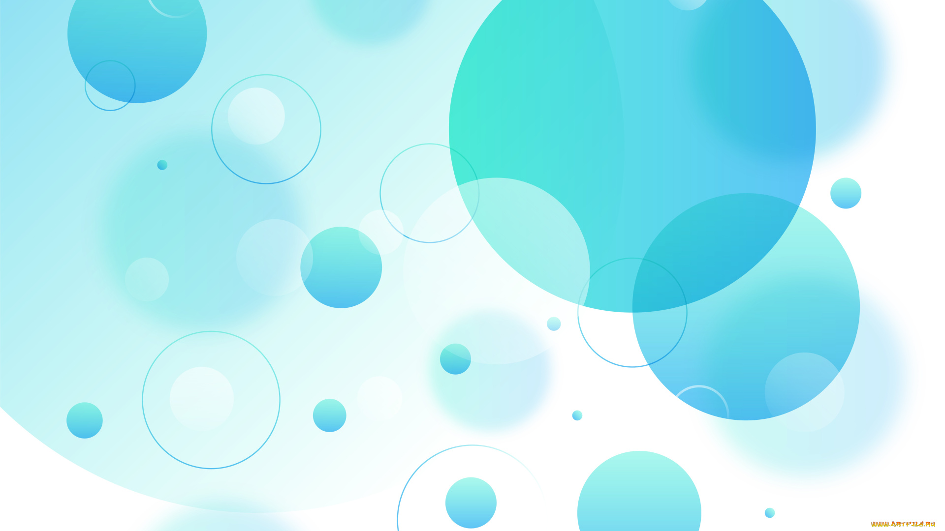 векторная, графика, -графика, , graphics, круги, текстура, фон, голубой, texture