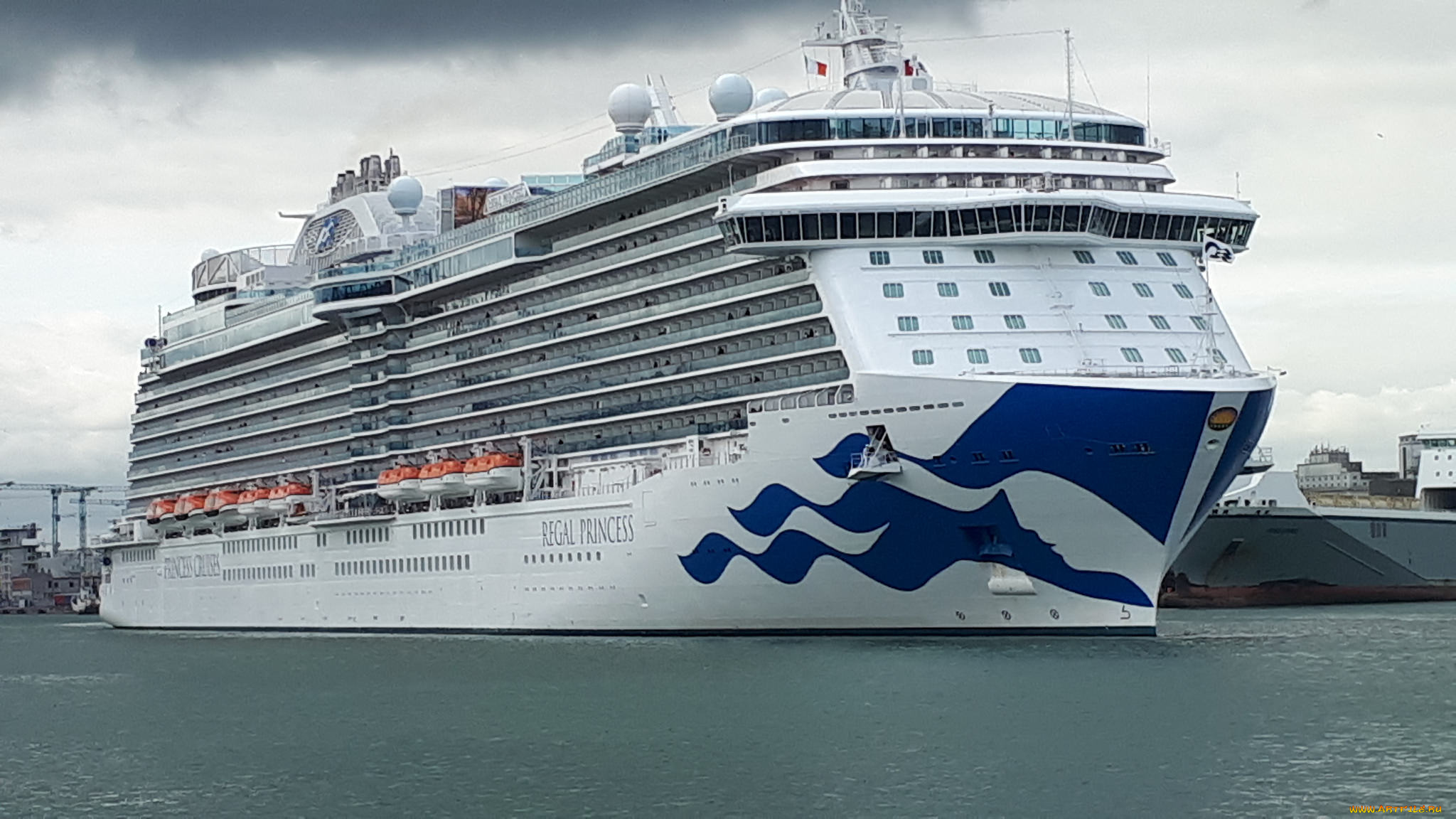 regal, princess, корабли, лайнеры, лайнер, круиз