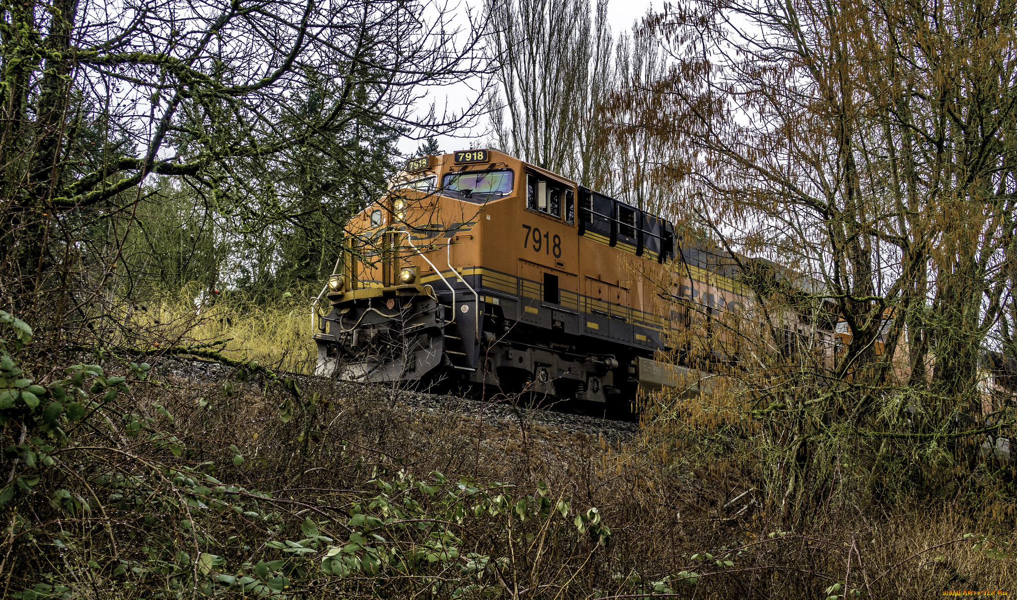 техника, поезда, состав, локомотив