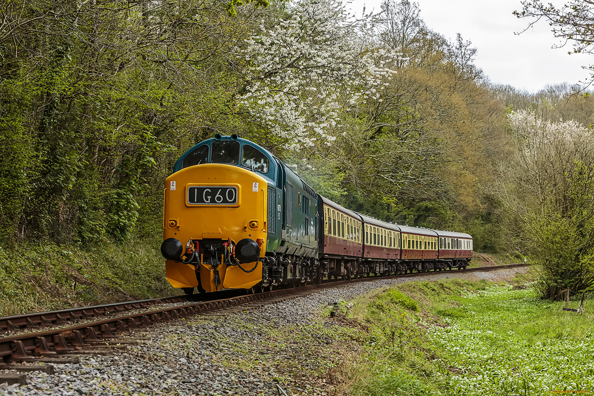 техника, поезда, состав, локомотив