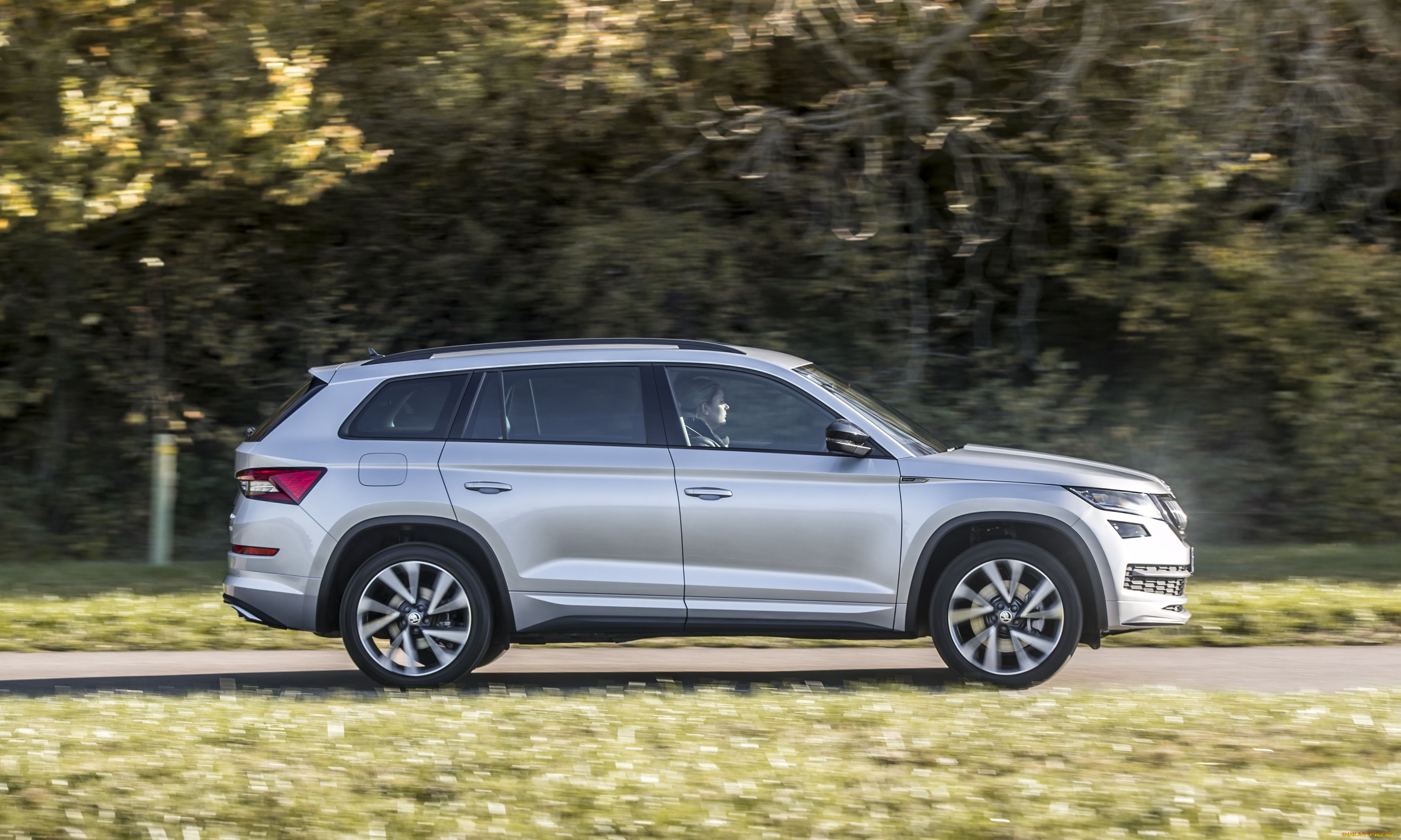 автомобили, skoda