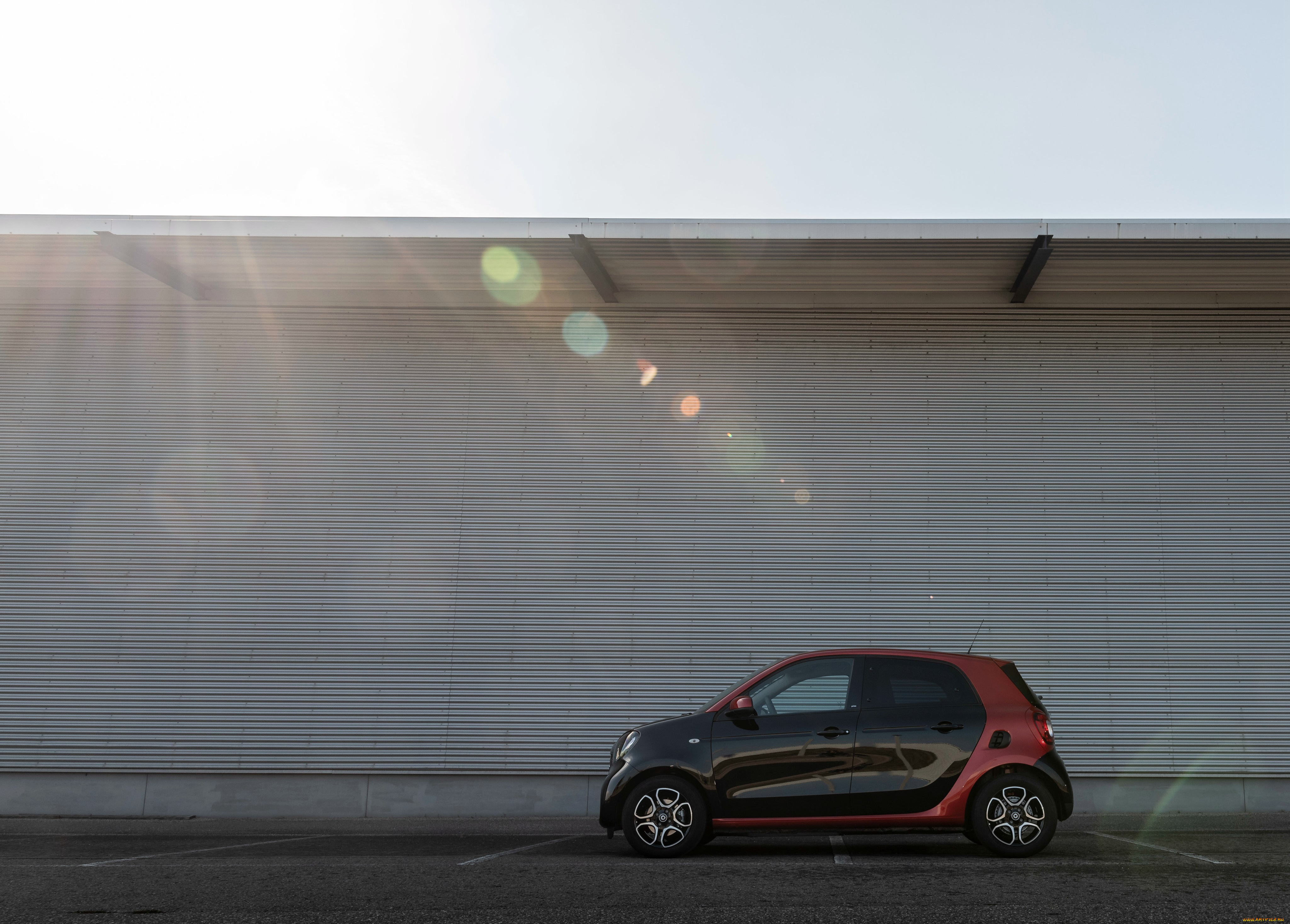 автомобили, smart