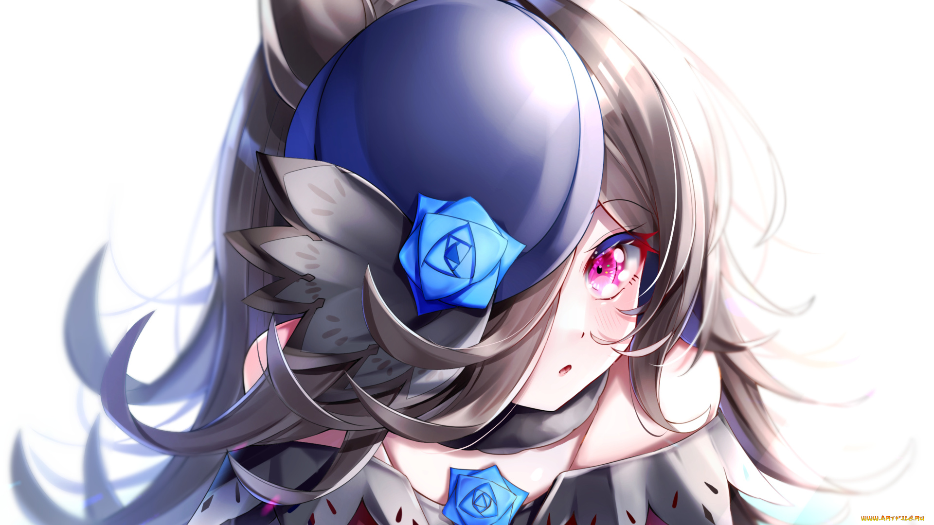 аниме, uma, musume, , pretty, derby, uma, musume, pretty, derby