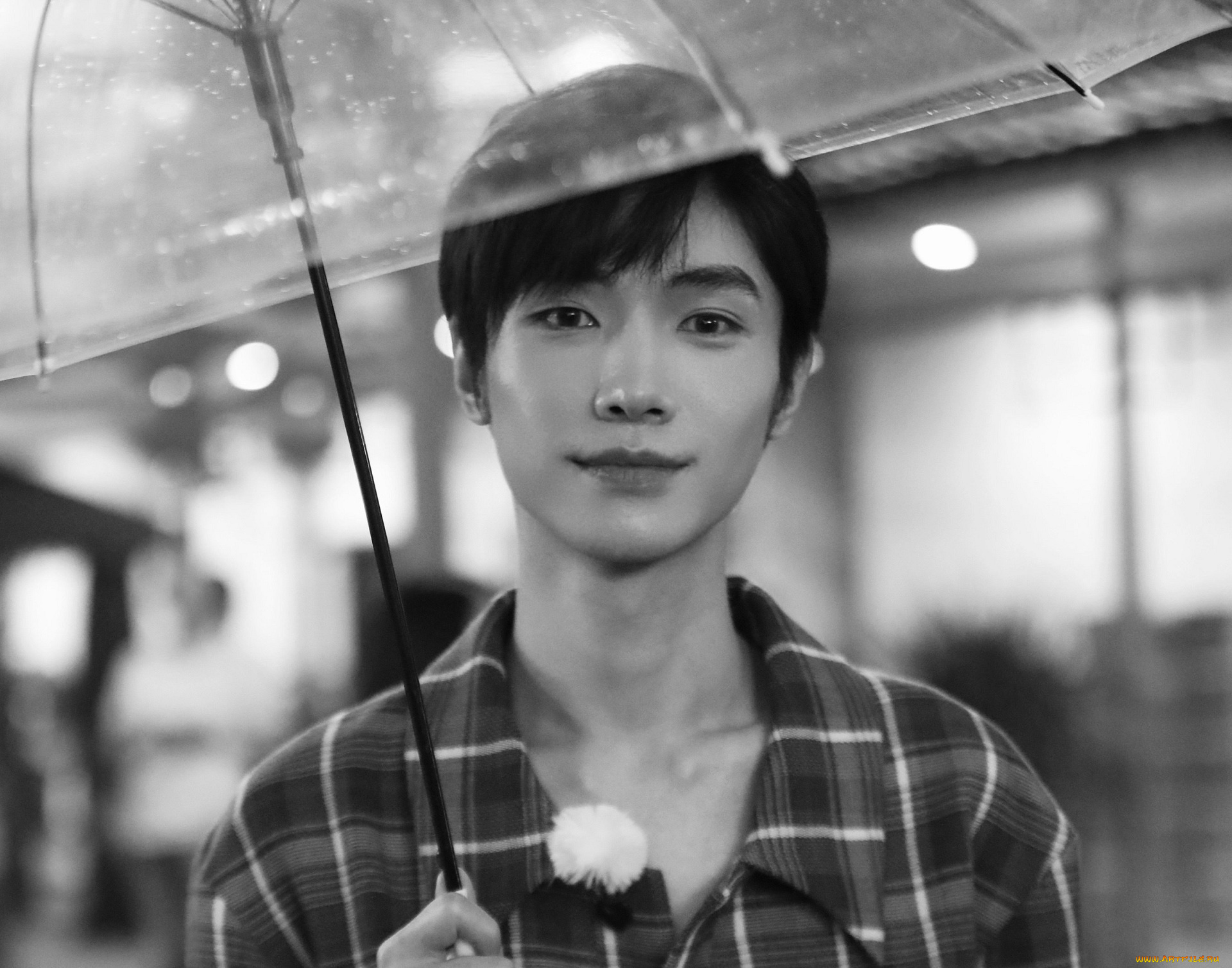 мужчины, song, ji, yang, сказание, о, юности, the, birth, of, drama, king