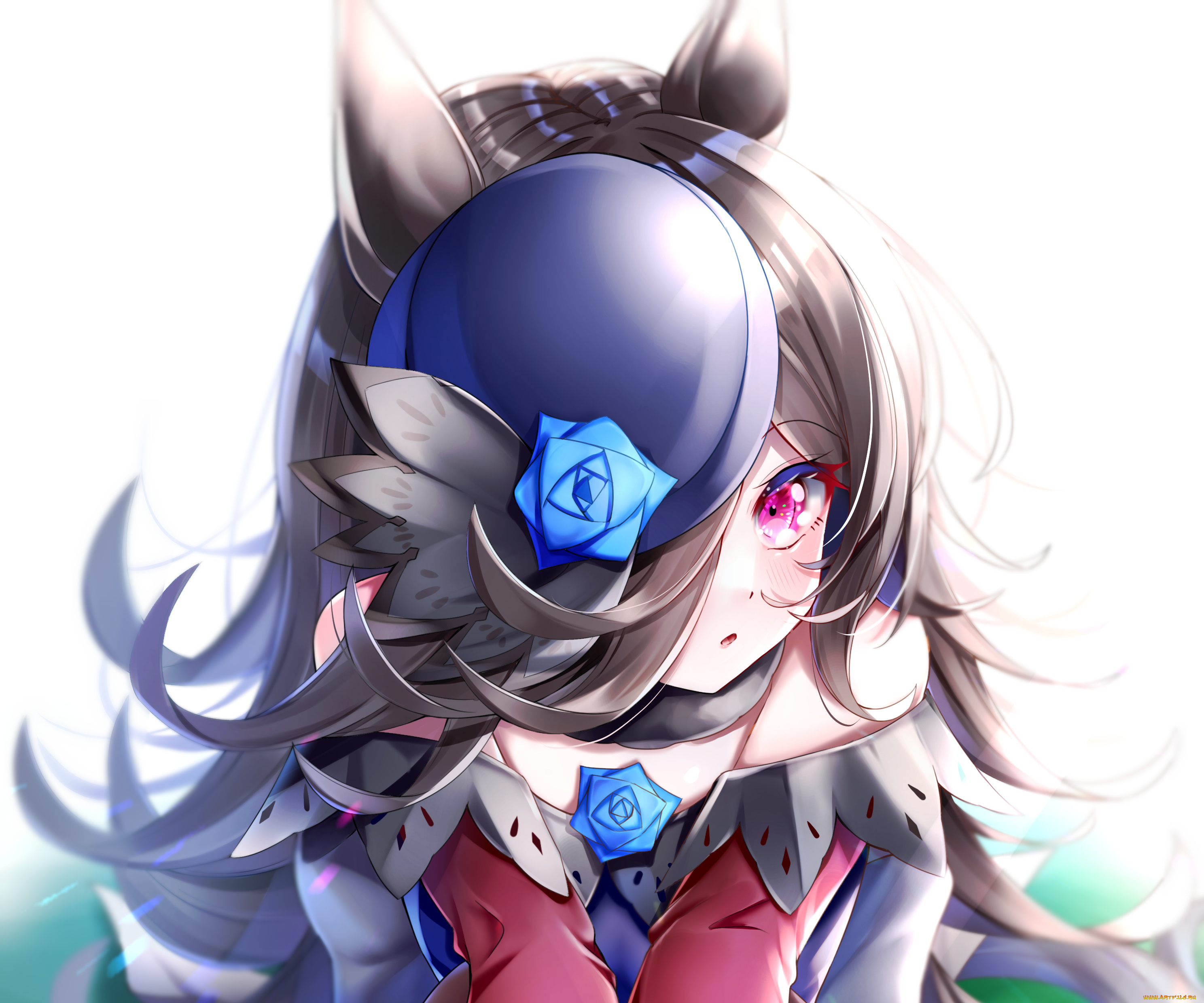 аниме, uma, musume, , pretty, derby, uma, musume, pretty, derby